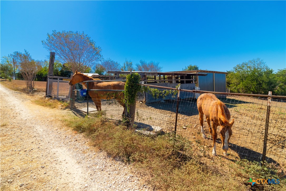 250 Rocky Road Lockhart, TX 78644 - Photo 41 of 45 a view of a terrace with furniture and a yard
