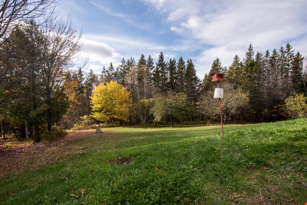 12 Sugartree Road St. David, ME 04773 - Photo 39 of 121 _NIK3209-2