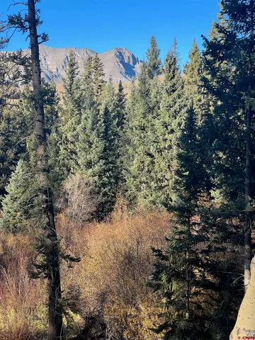 a view of a forest with a tree