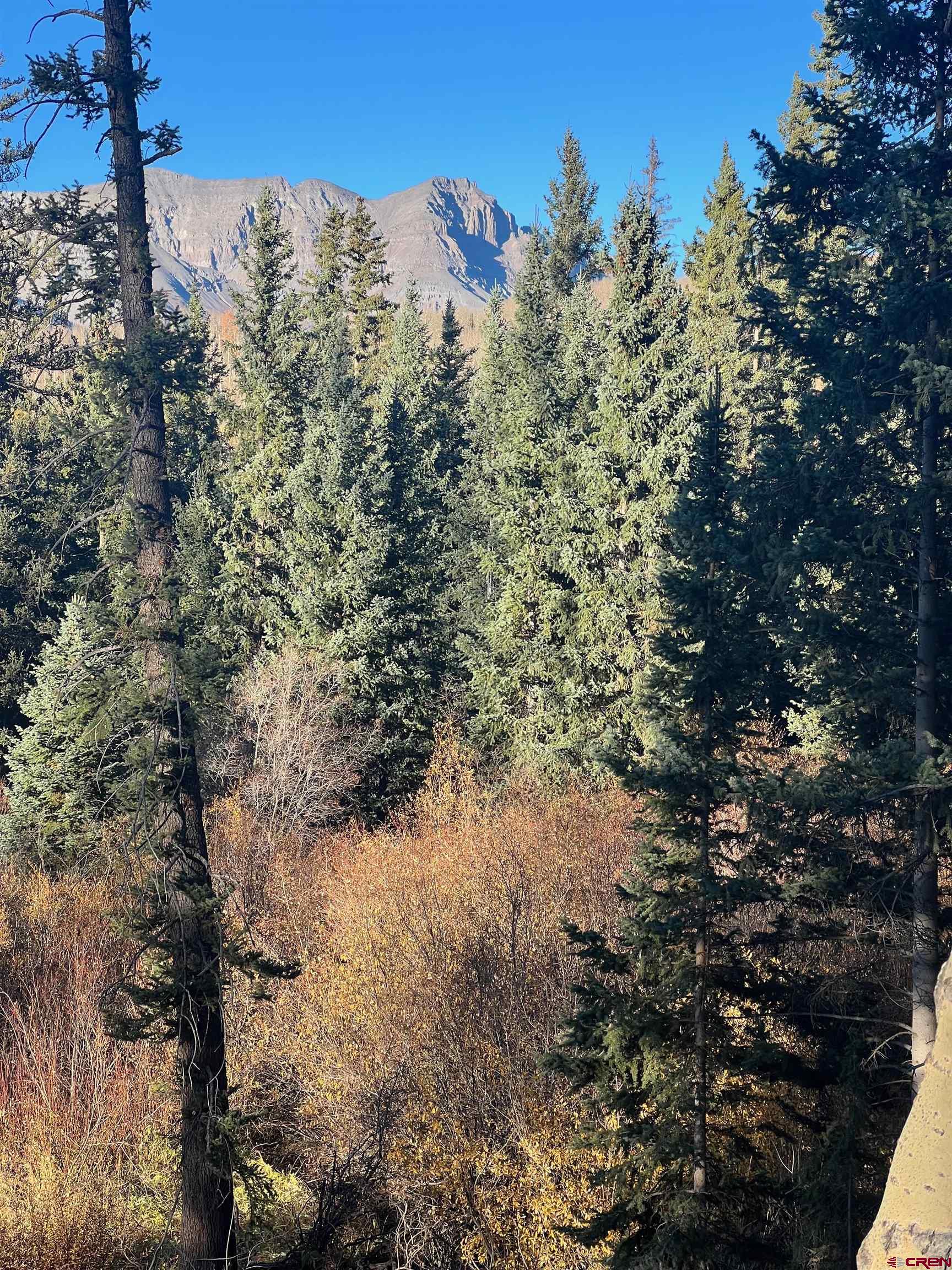 530 Elk Run Telluride, CO 81435 - Photo 2 of 10 a view of a forest with a tree