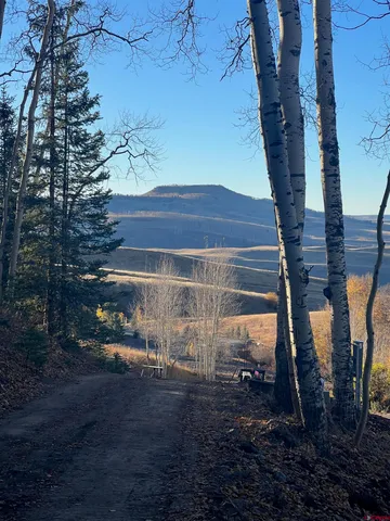 a view of a yard with a tree