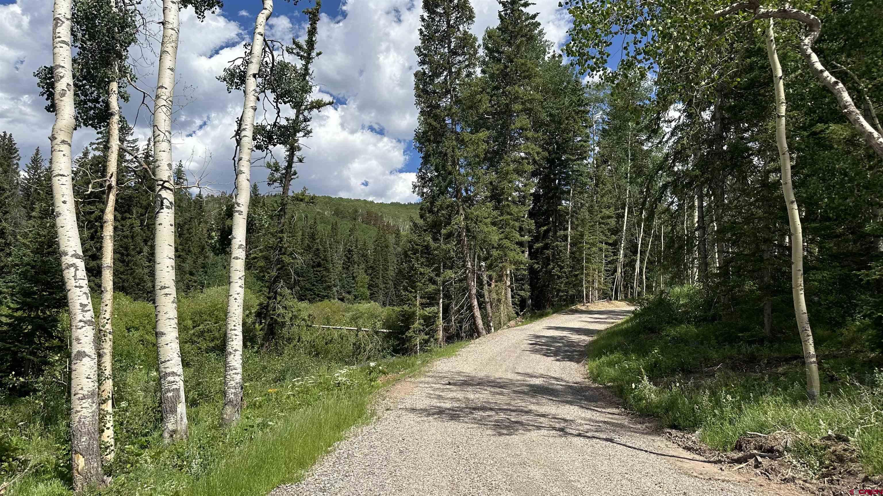 530 Elk Run Telluride, CO 81435 - Photo 5 of 10 a view of a garden