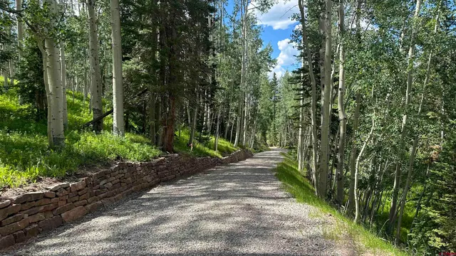 a view of a yard in front of the house