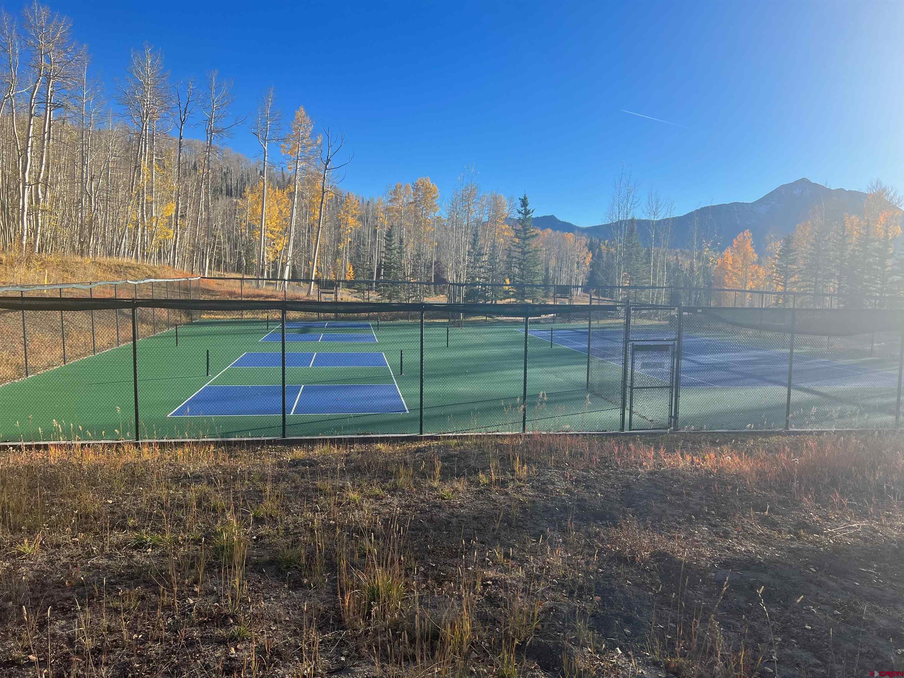 530 Elk Run Telluride, CO 81435 - Photo 8 of 10 a view of a park