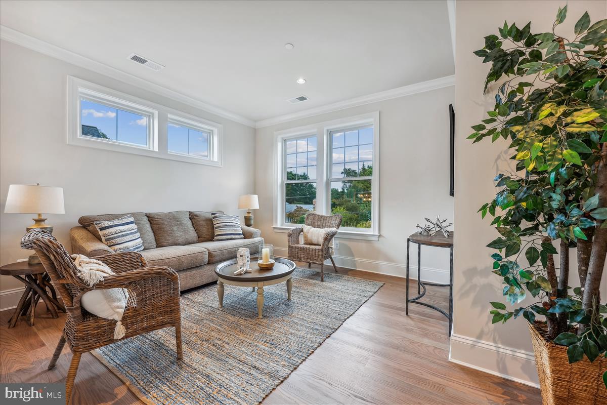 7600 Massena Road Bethesda, MD 20817 - Photo 49 of 102 a living room with furniture and a potted plant