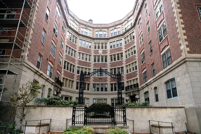 a view of a yard and car parked on the road