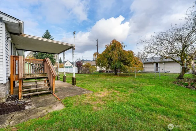 a view of a park with large trees