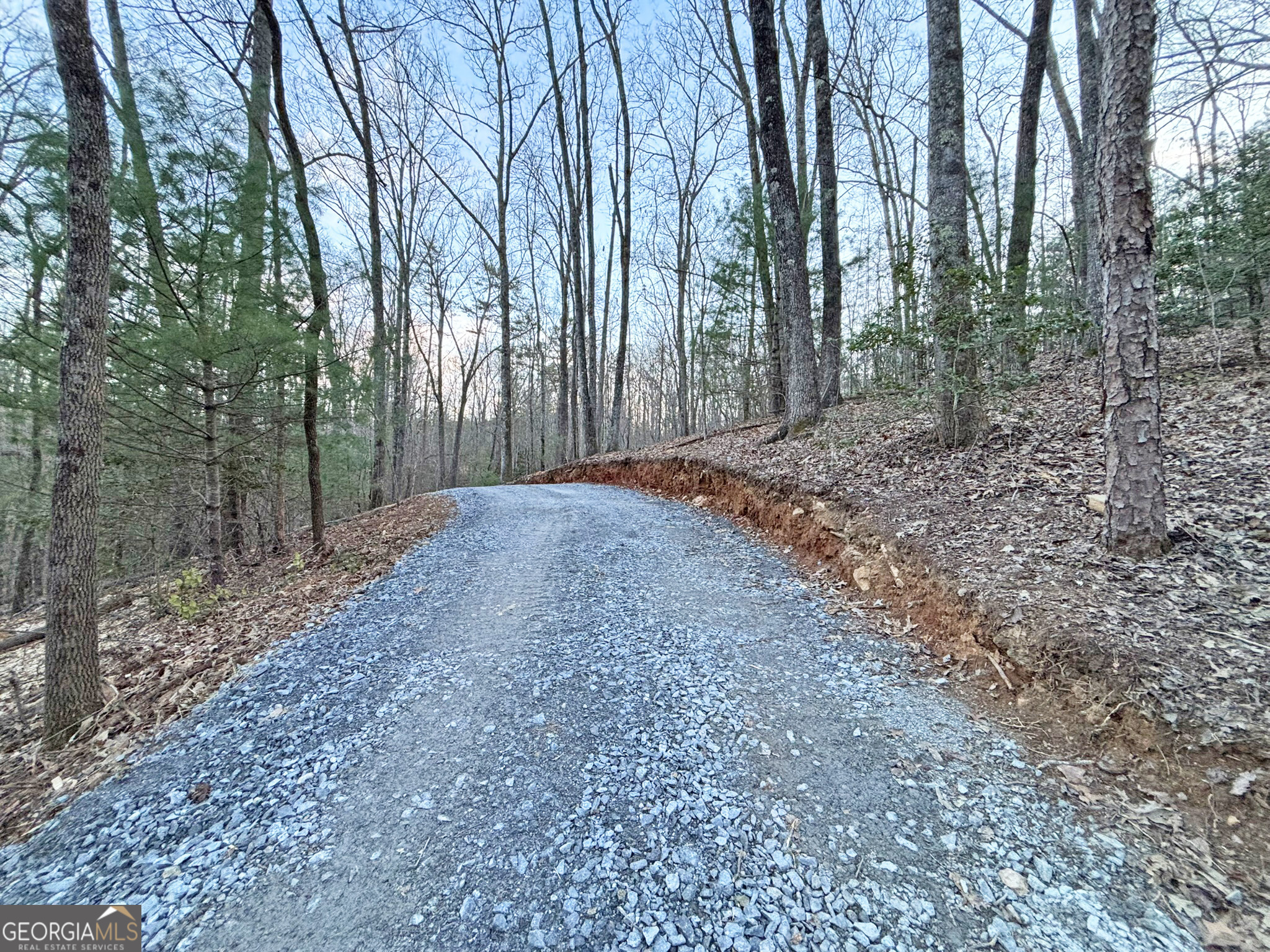 2372 Humphrey Mill Road Mineral Bluff, GA 30559 - Photo 11 of 42 a view of a forest with trees in the background