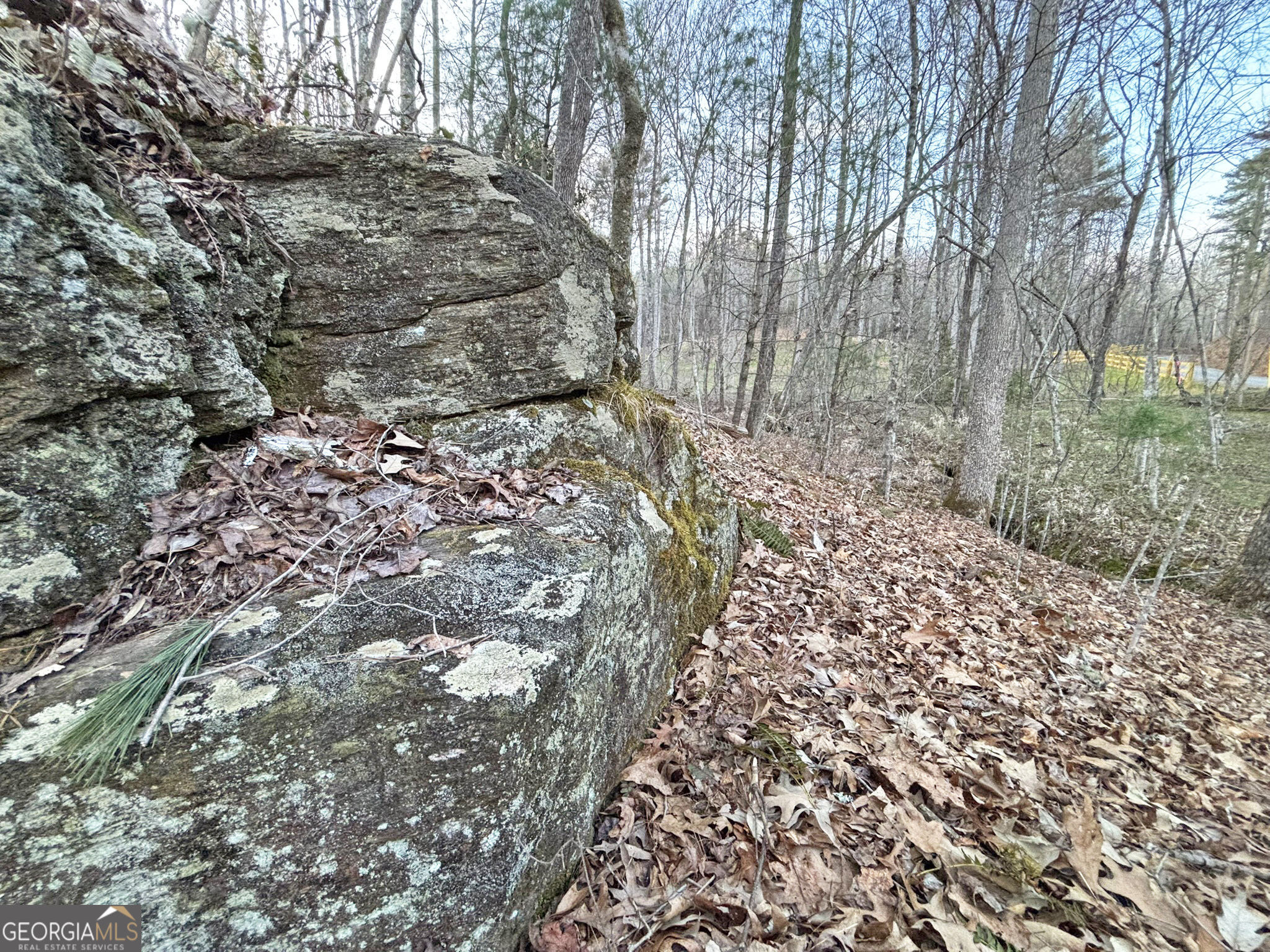 2372 Humphrey Mill Road Mineral Bluff, GA 30559 - Photo 13 of 42 a big yard with lots of green space