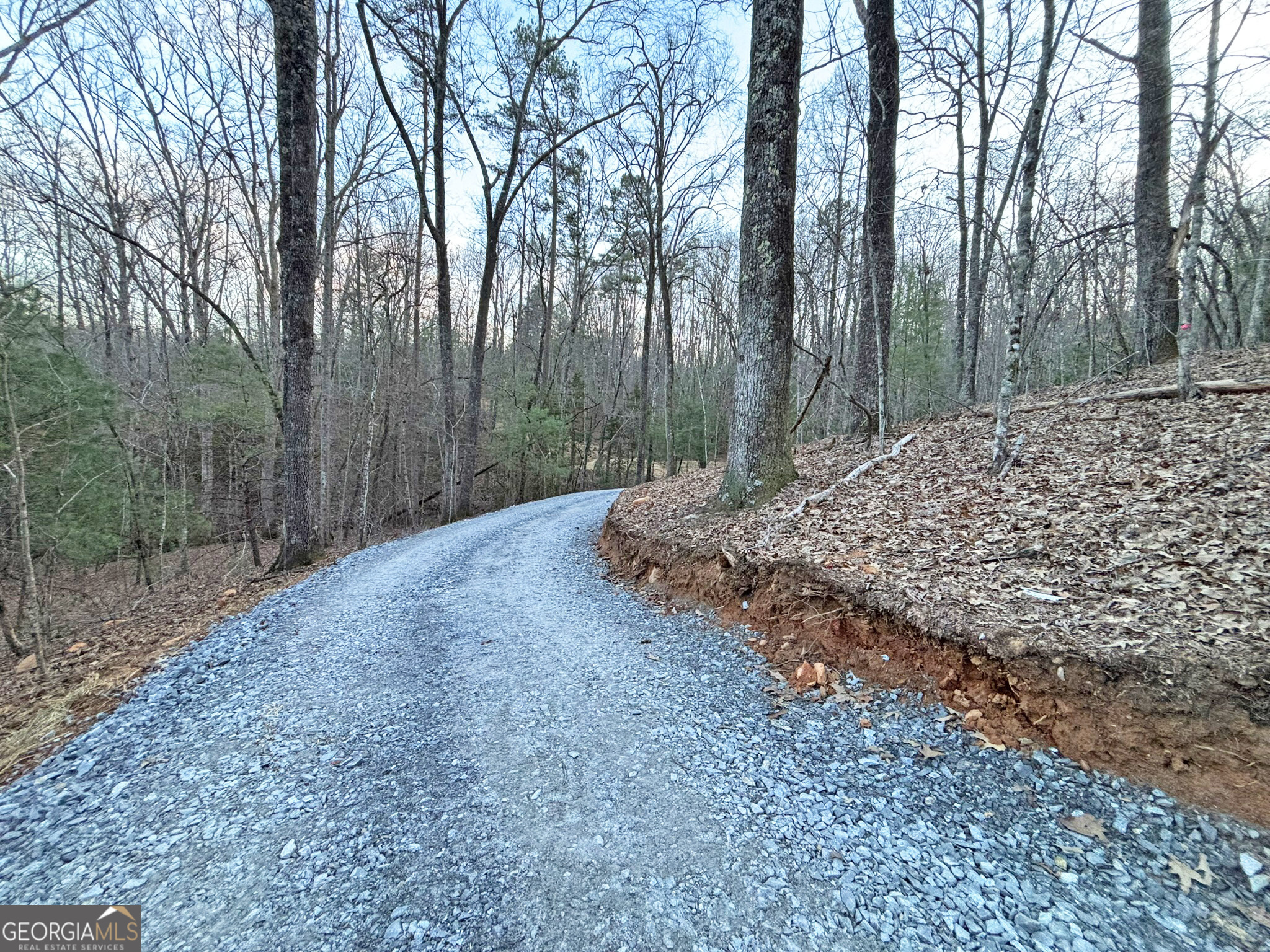 2372 Humphrey Mill Road Mineral Bluff, GA 30559 - Photo 14 of 42 a view of a backyard with large trees