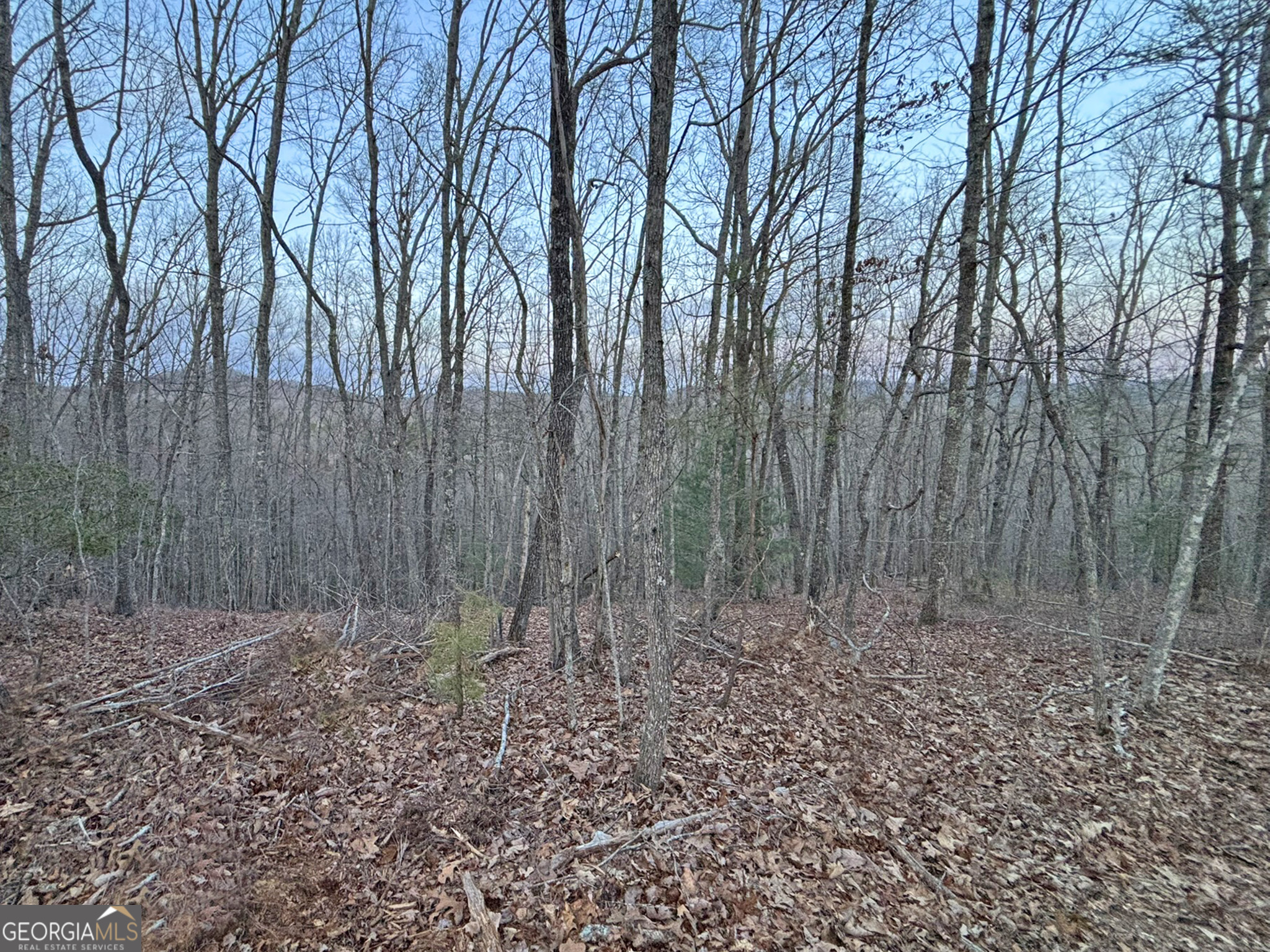 2372 Humphrey Mill Road Mineral Bluff, GA 30559 - Photo 17 of 42 a view of backyard with green space