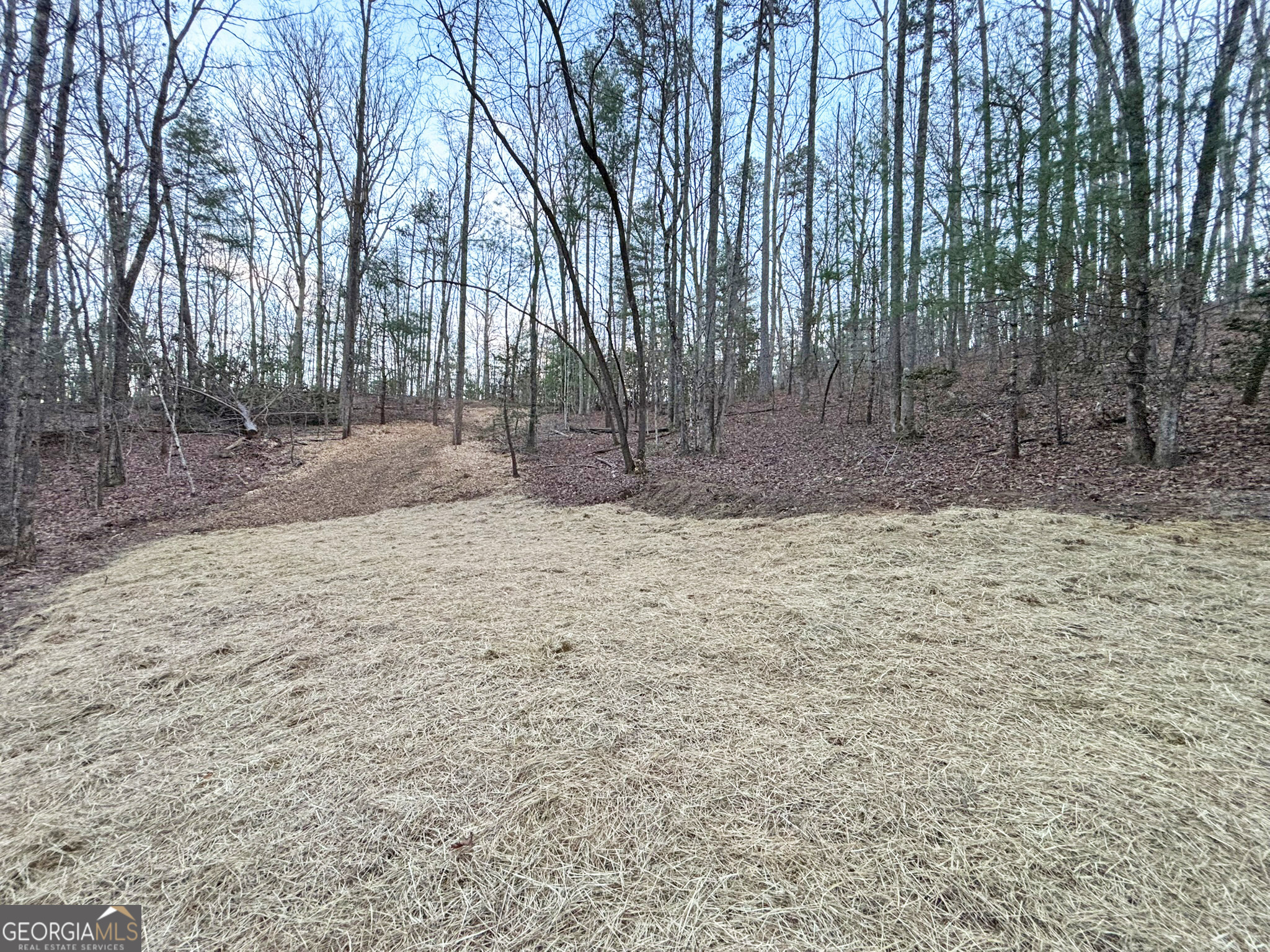2372 Humphrey Mill Road Mineral Bluff, GA 30559 - Photo 18 of 42 a view of a backyard with large trees