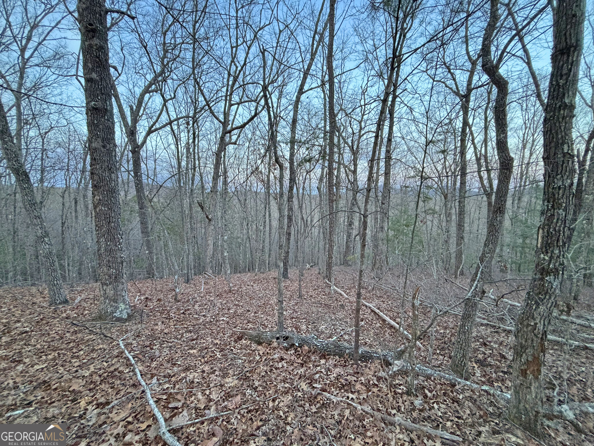 2372 Humphrey Mill Road Mineral Bluff, GA 30559 - Photo 19 of 42