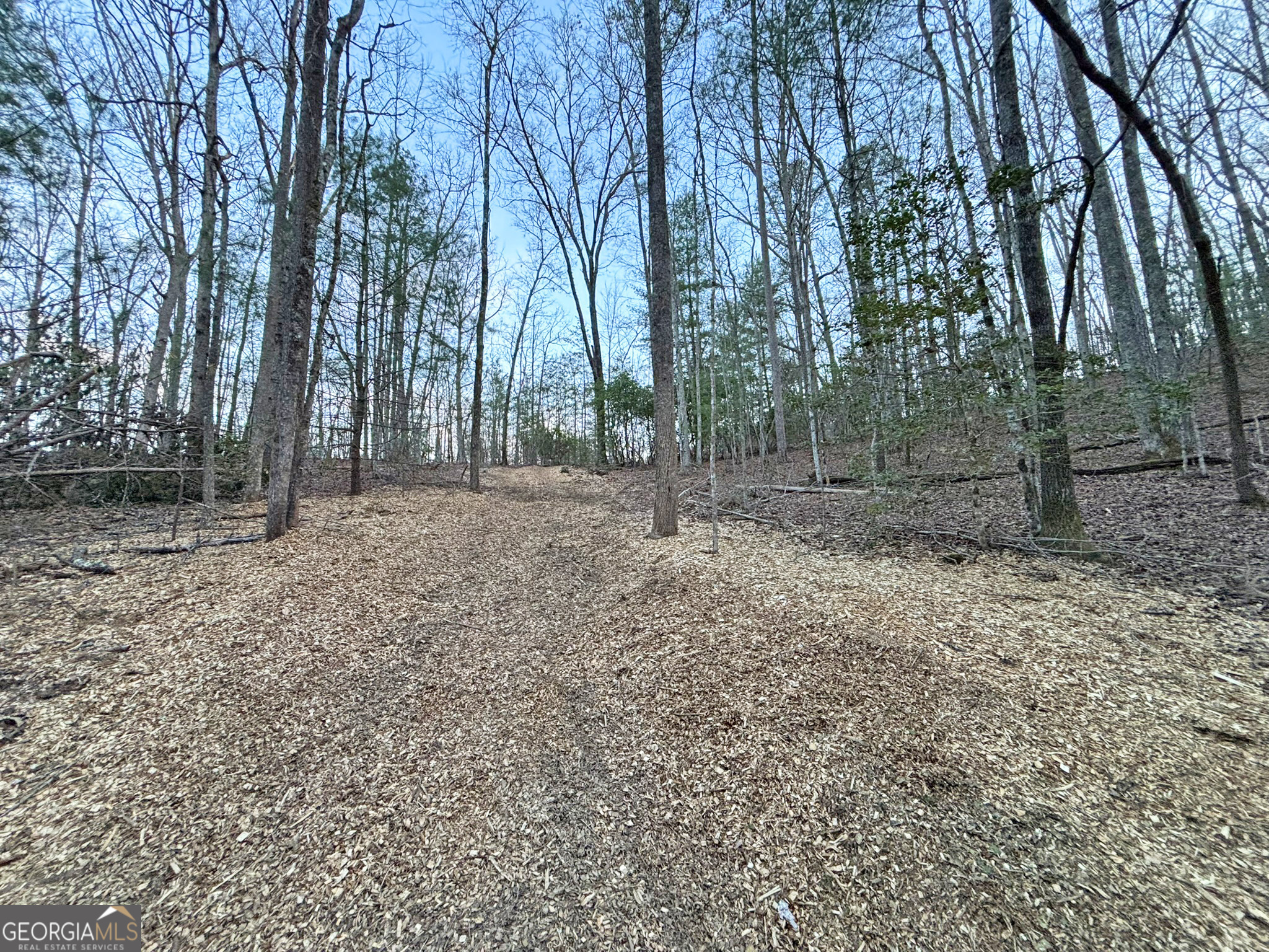 2372 Humphrey Mill Road Mineral Bluff, GA 30559 - Photo 20 of 42 a view of outdoor space with trees