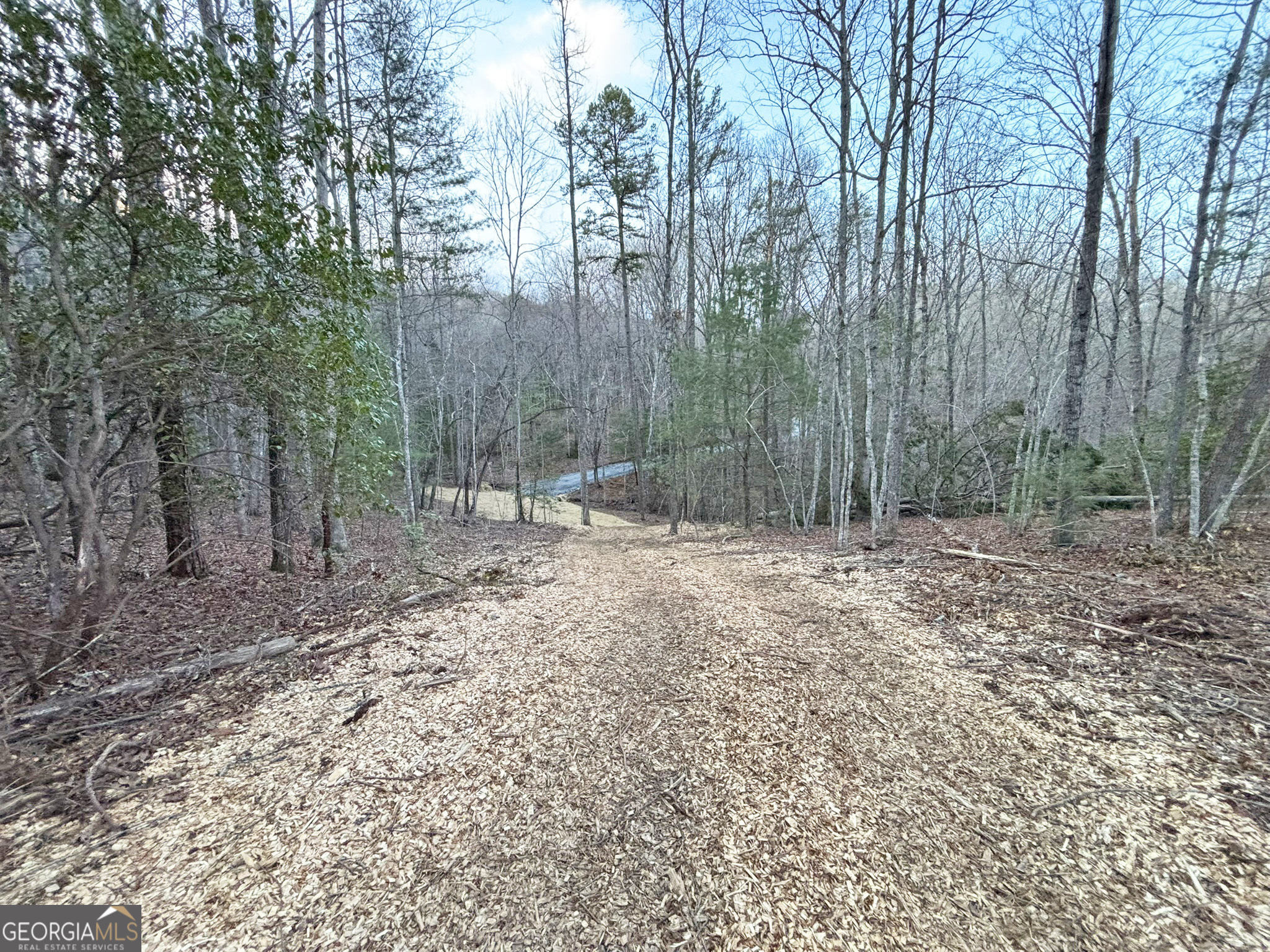2372 Humphrey Mill Road Mineral Bluff, GA 30559 - Photo 22 of 42 a backyard of a house with lots of green space