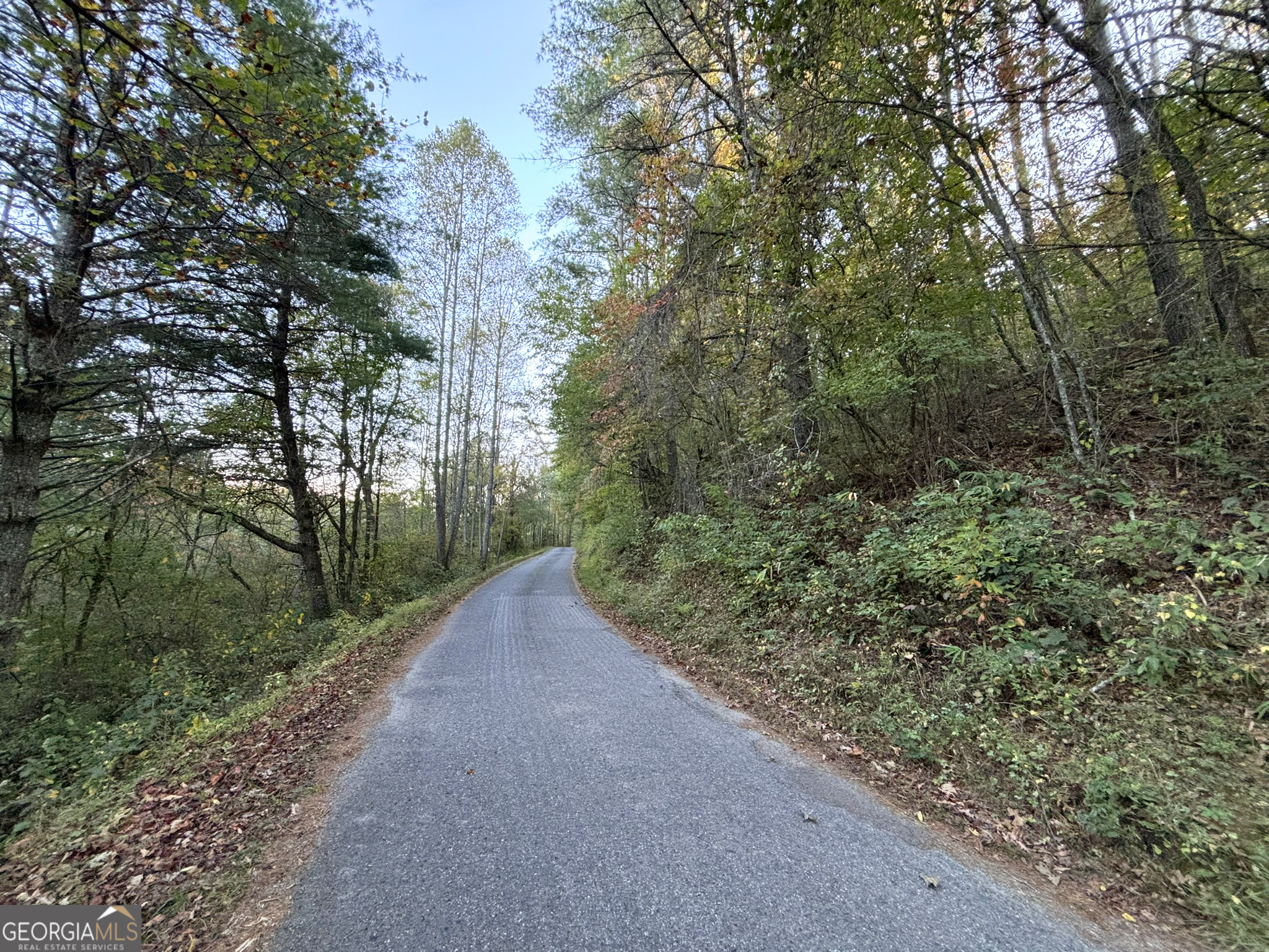2372 Humphrey Mill Road Mineral Bluff, GA 30559 - Photo 29 of 42 a view of a road with plants and trees