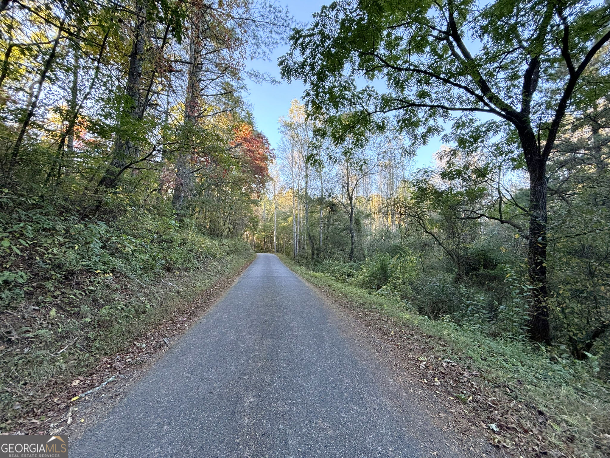 2372 Humphrey Mill Road Mineral Bluff, GA 30559 - Photo 30 of 42 a view of a dirt road with large trees