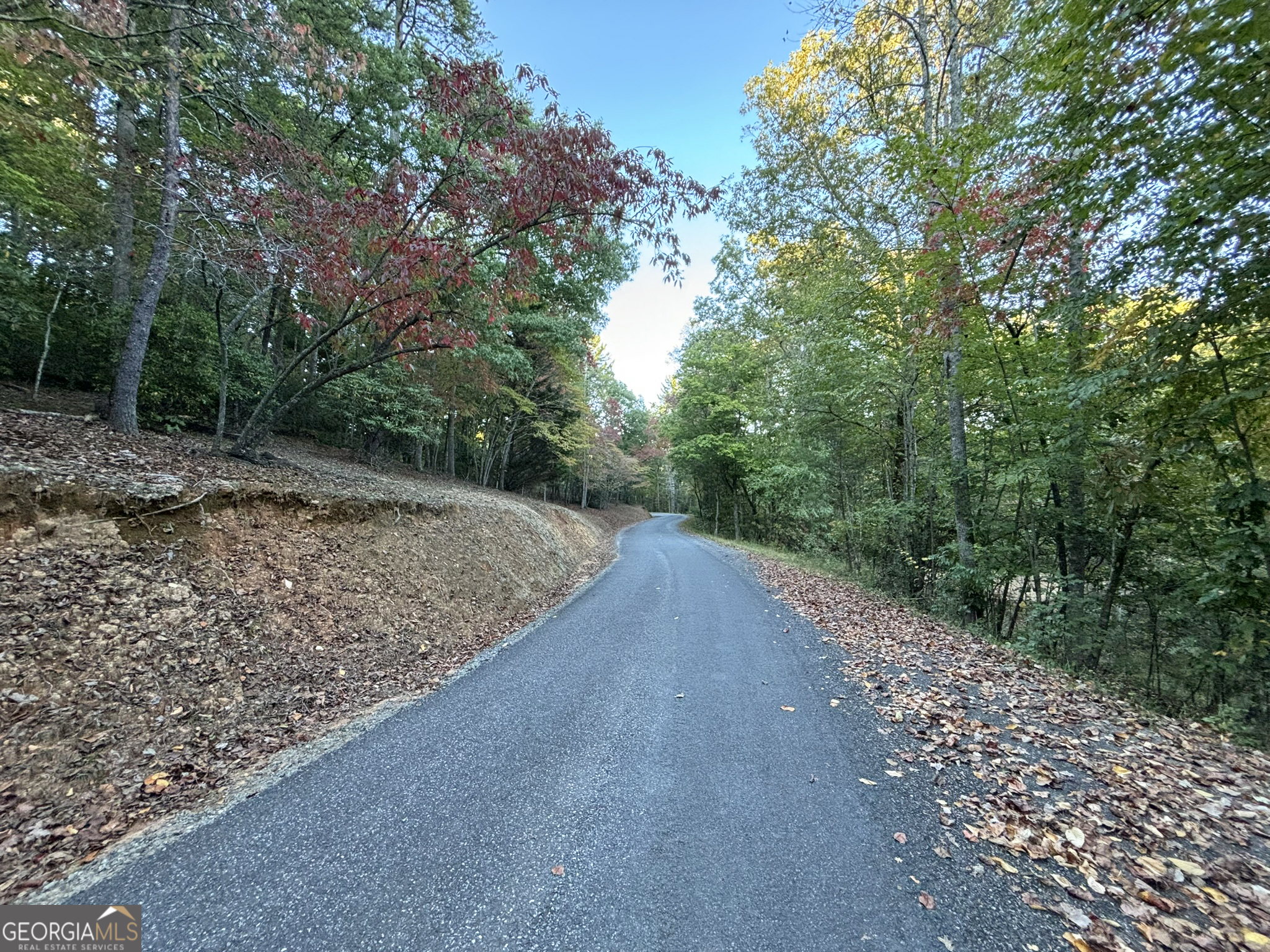 2372 Humphrey Mill Road Mineral Bluff, GA 30559 - Photo 31 of 42 a view of a dirt road with trees in the background