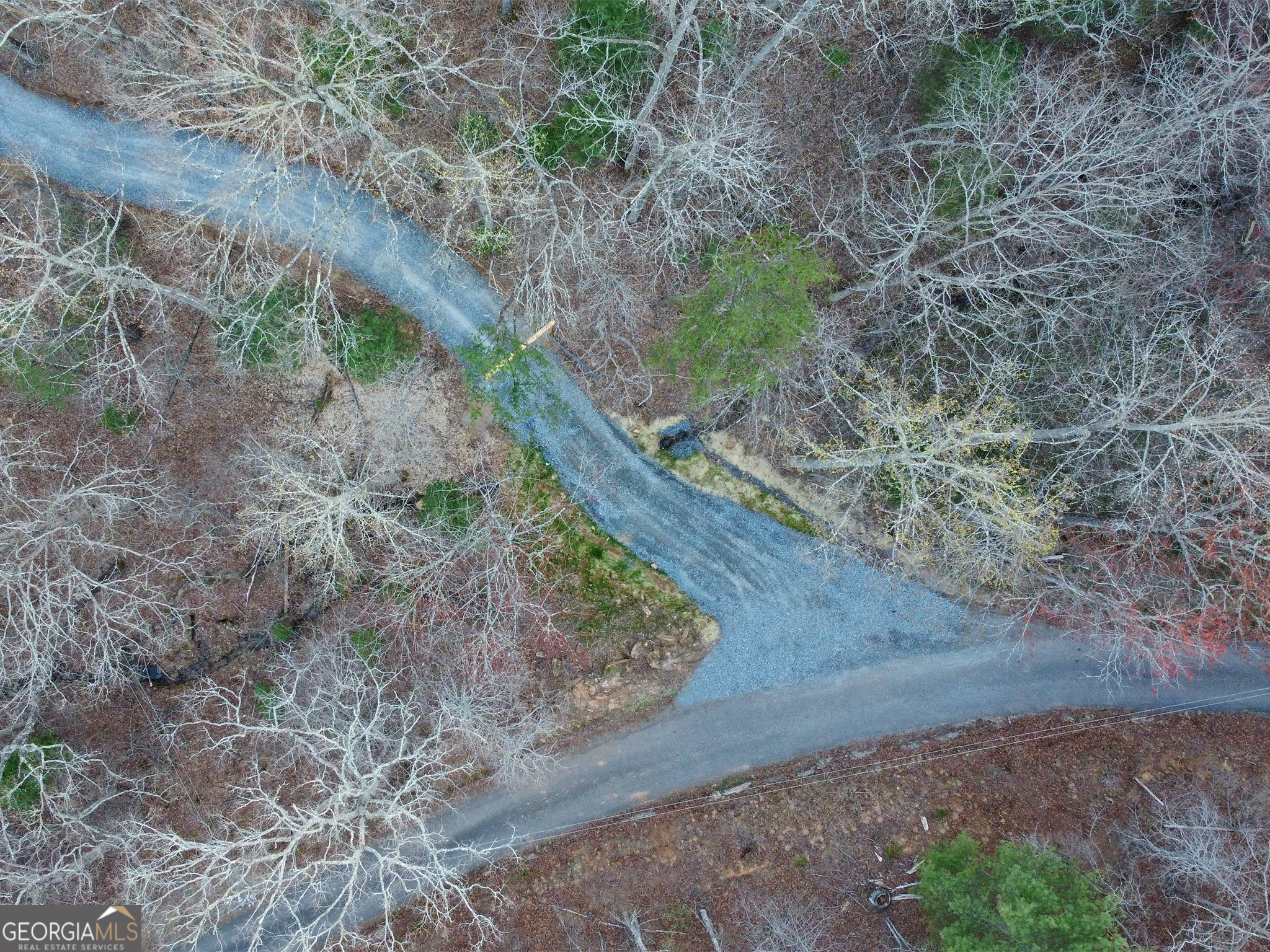 2372 Humphrey Mill Road Mineral Bluff, GA 30559 - Photo 33 of 42 a view of a dry yard with trees and stairs