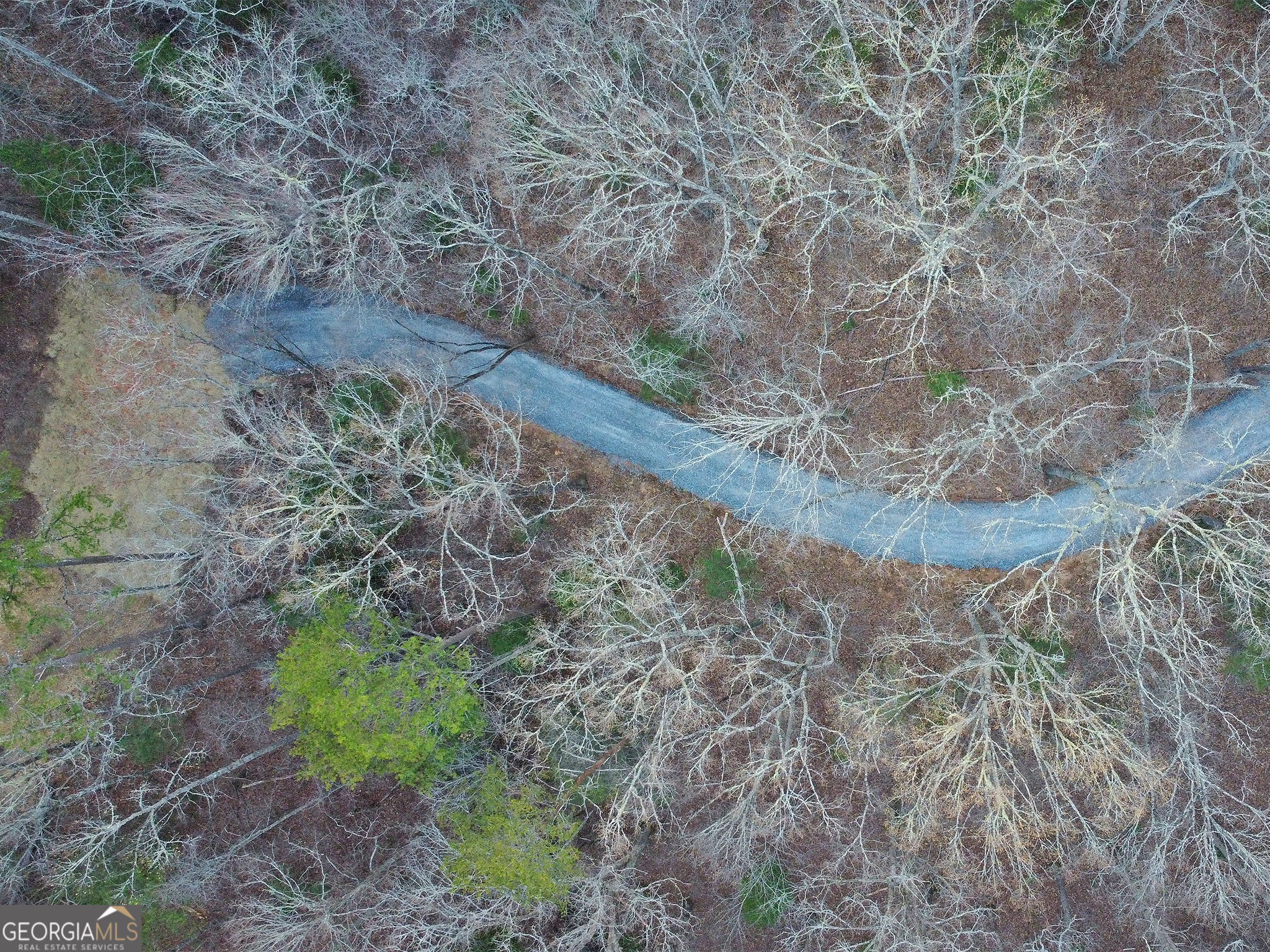 2372 Humphrey Mill Road Mineral Bluff, GA 30559 - Photo 34 of 42 a view of a yard with large trees