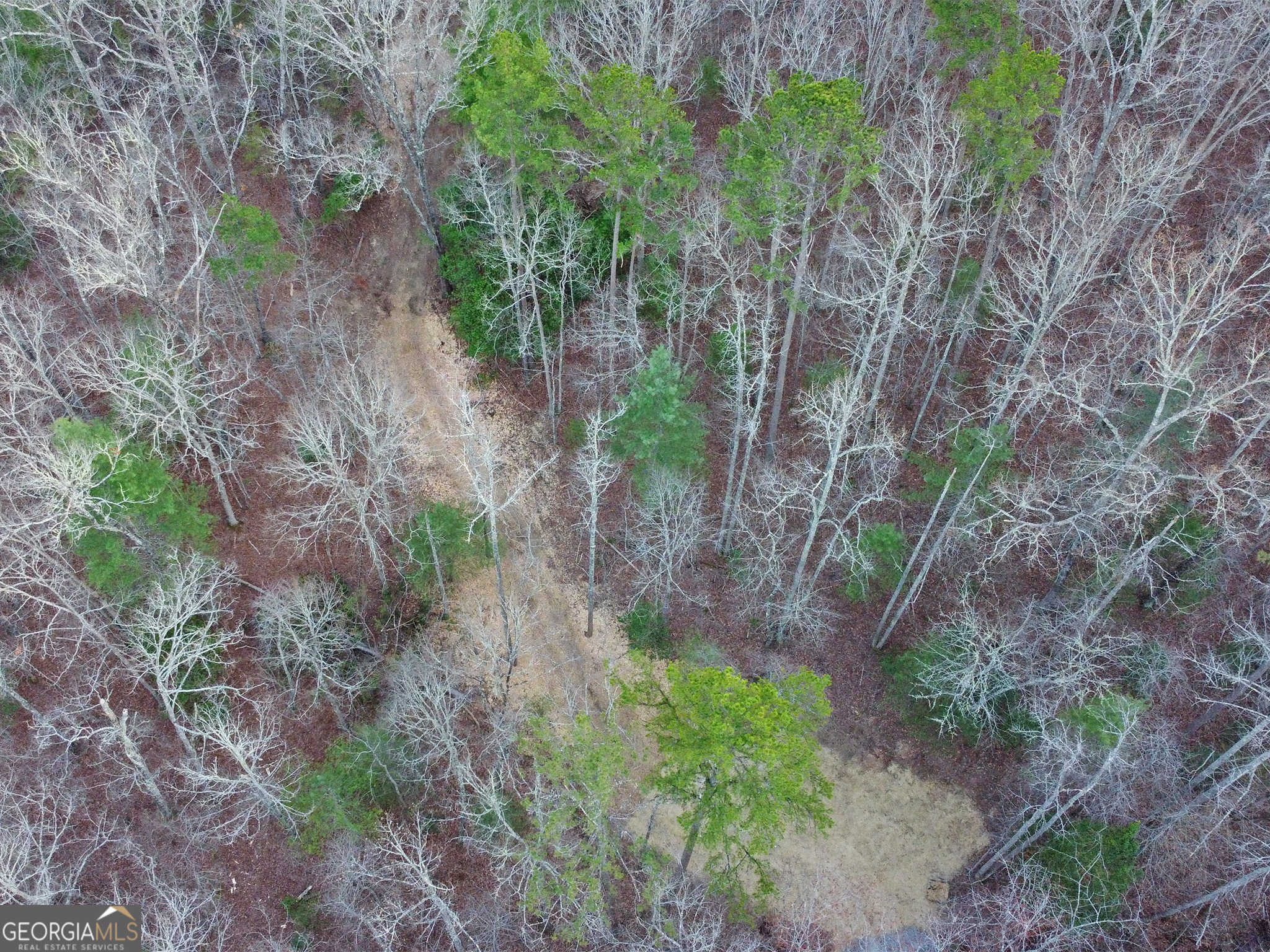 2372 Humphrey Mill Road Mineral Bluff, GA 30559 - Photo 35 of 42 a backyard of a house with lots of plants and trees