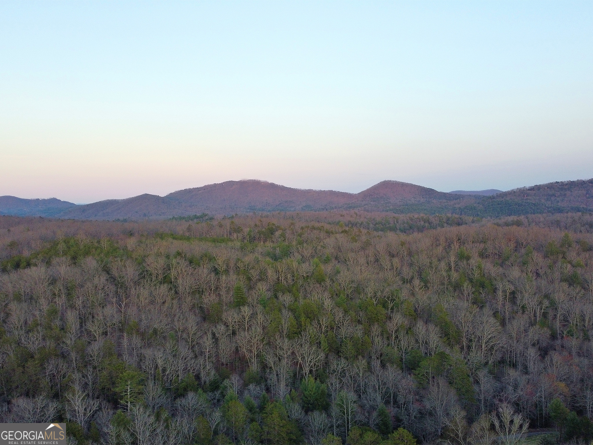 2372 Humphrey Mill Road Mineral Bluff, GA 30559 - Photo 36 of 42 a view of a lush green forest with trees in the background