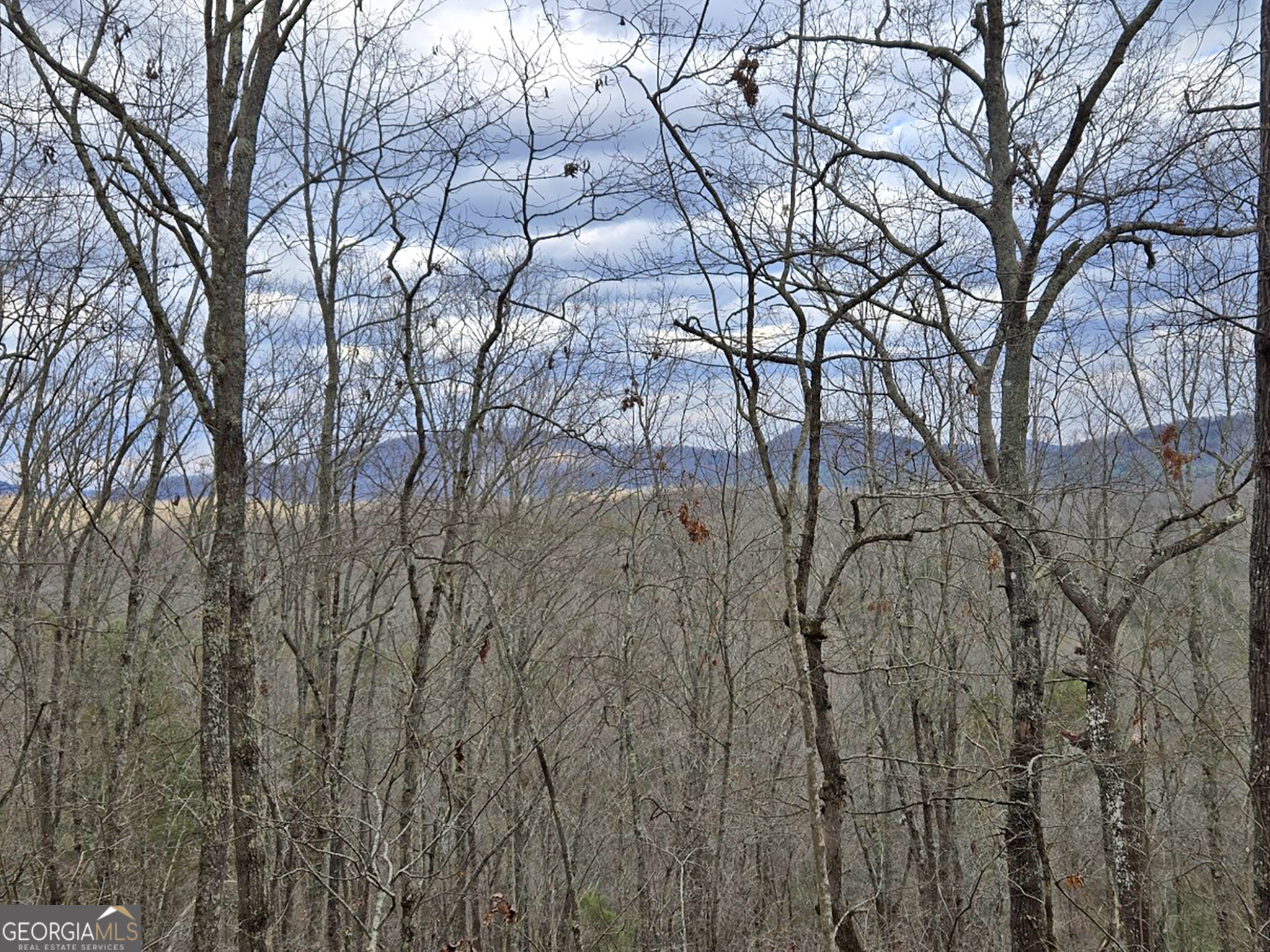 2372 Humphrey Mill Road Mineral Bluff, GA 30559 - Photo 5 of 42 a backyard of a house with lots of green space