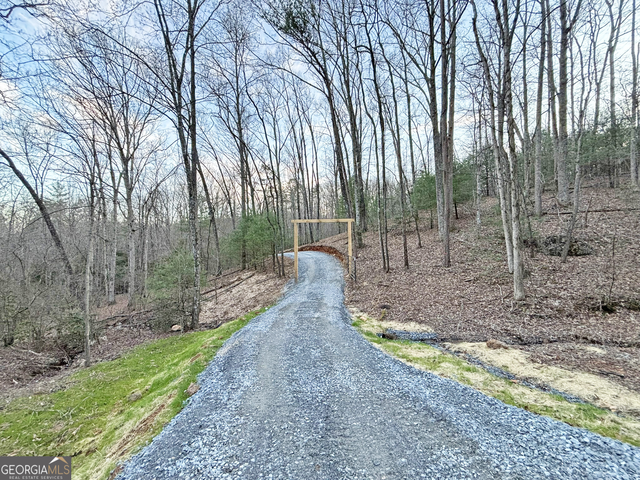 2372 Humphrey Mill Road Mineral Bluff, GA 30559 - Photo 6 of 42 a view of a park with large trees