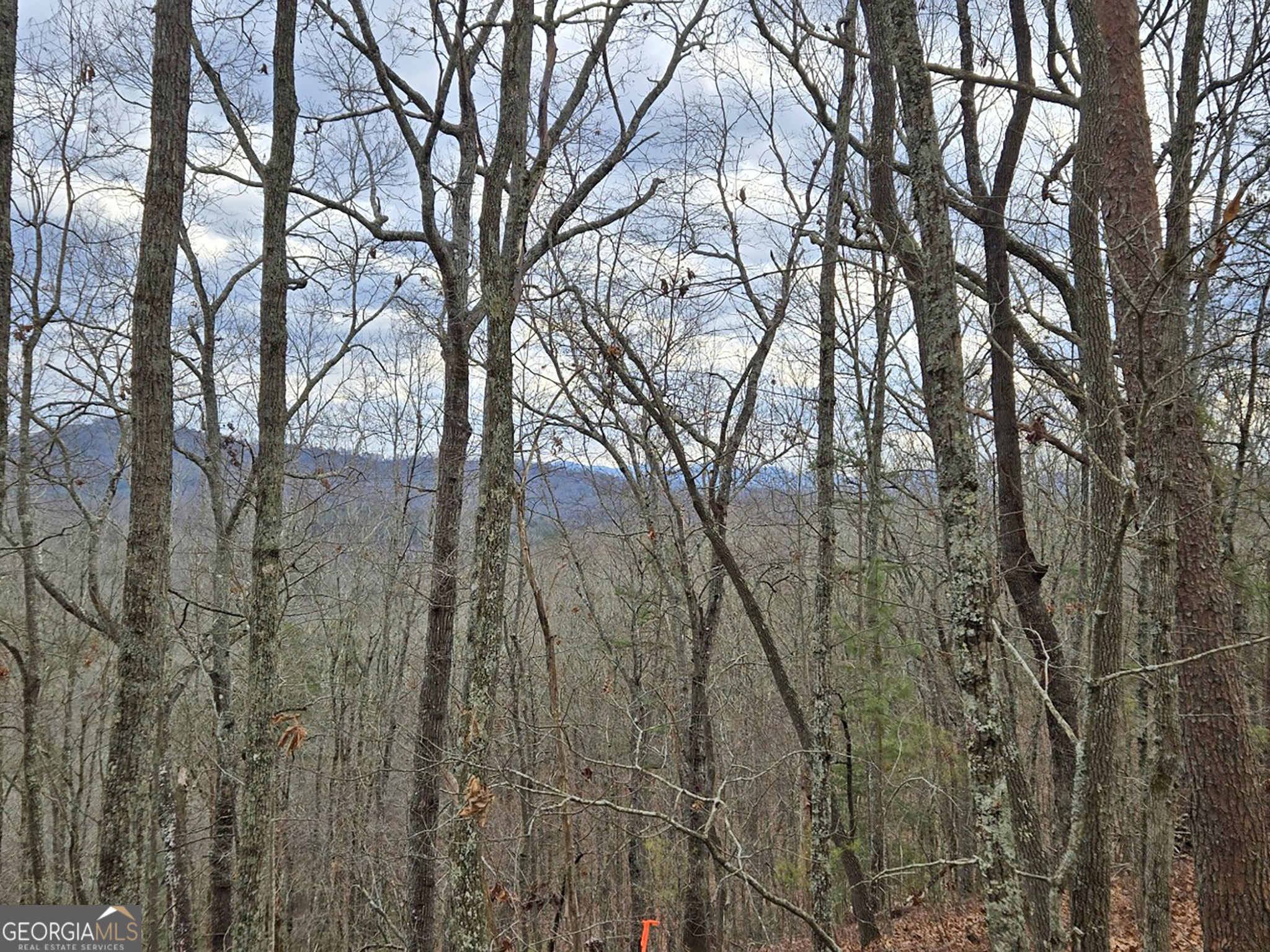 2372 Humphrey Mill Road Mineral Bluff, GA 30559 - Photo 7 of 42