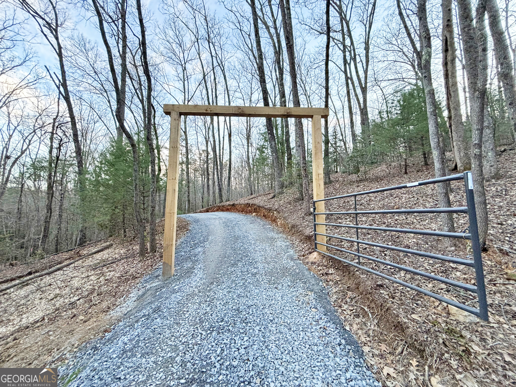 2372 Humphrey Mill Road Mineral Bluff, GA 30559 - Photo 8 of 42 a view of backyard with green space