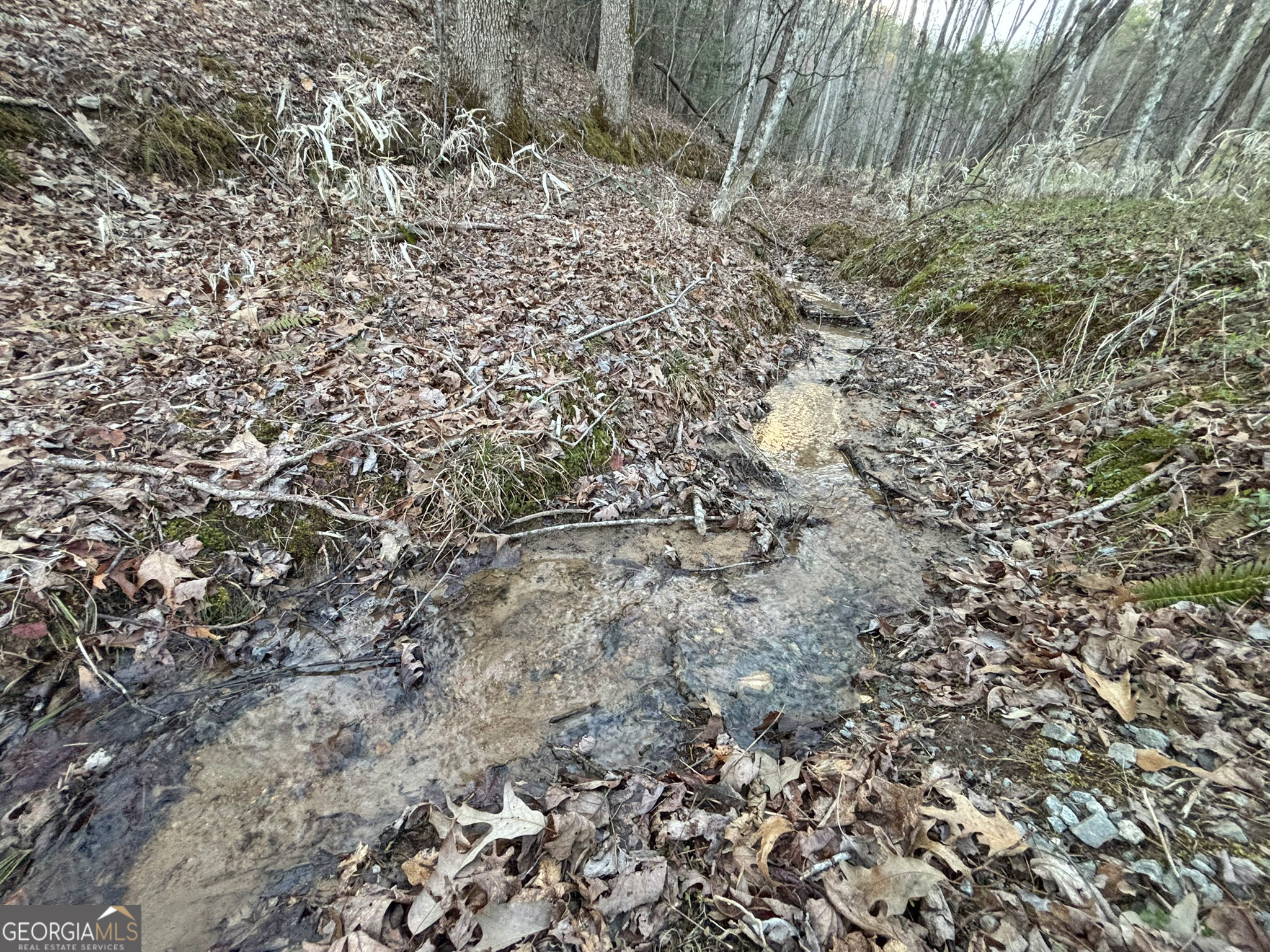 2372 Humphrey Mill Road Mineral Bluff, GA 30559 - Photo 10 of 42 a view of a yard with a large tree