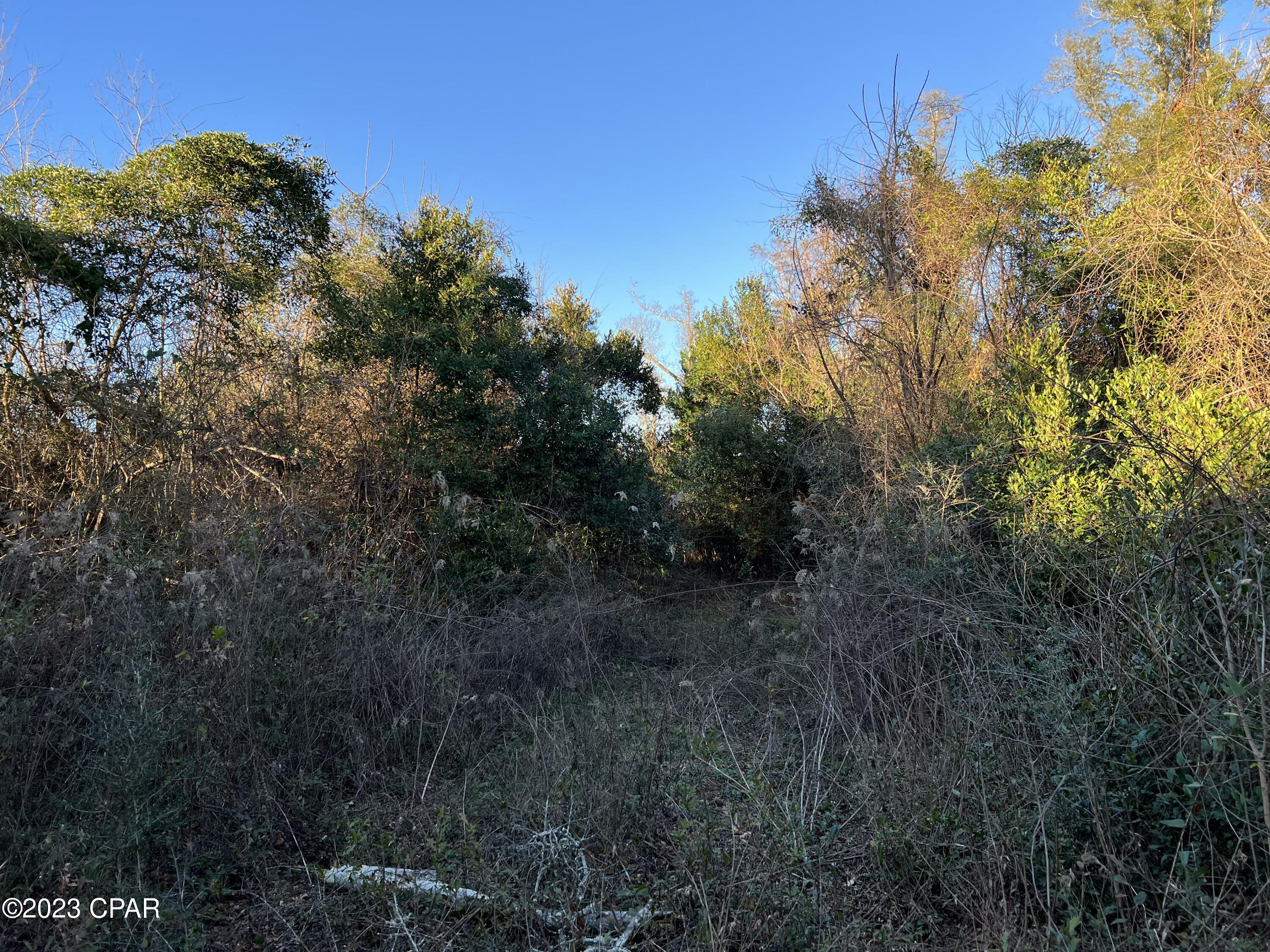 0 London Road Cottondale, FL 32431 - Photo 3 of 7