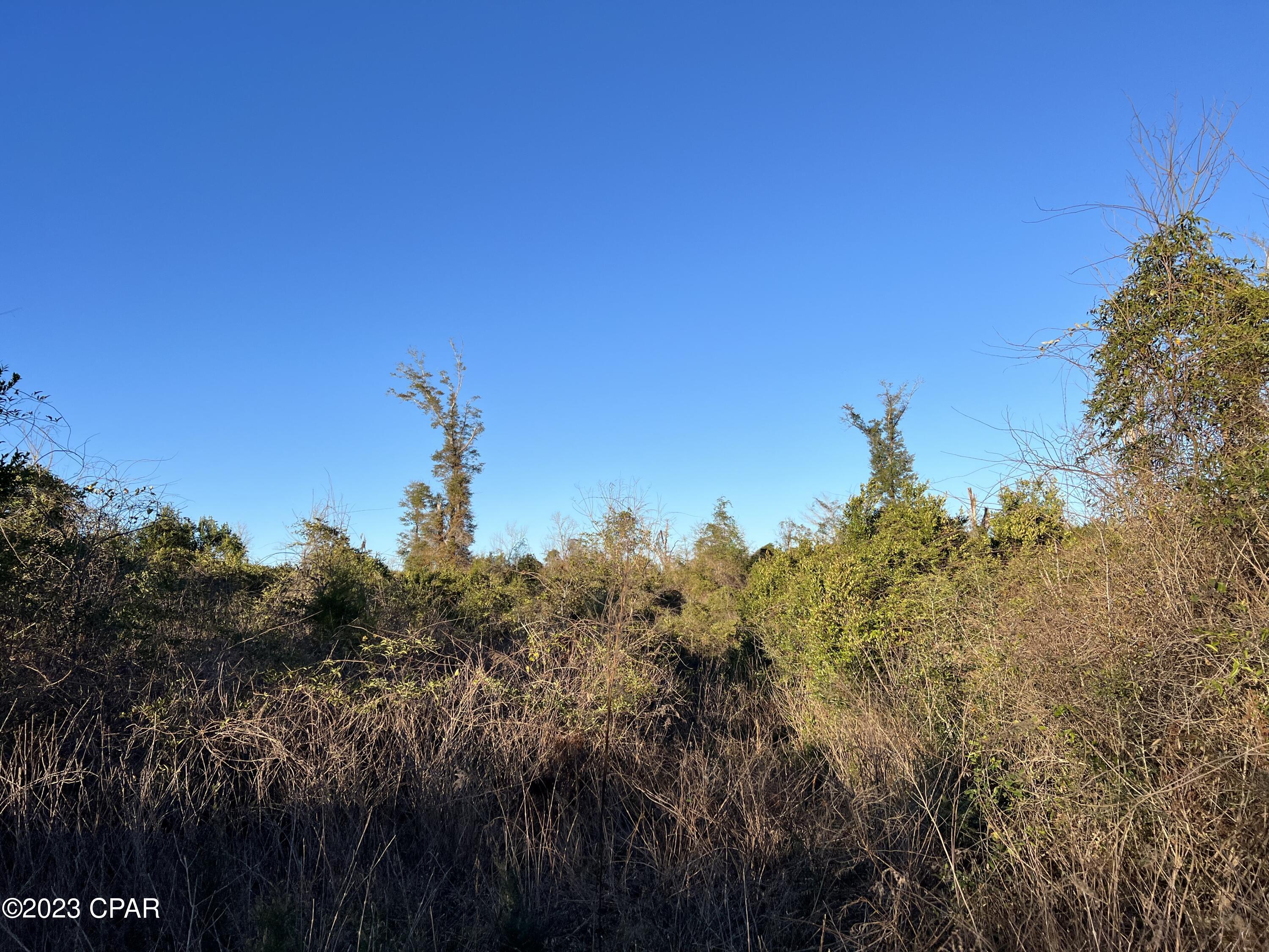 0 London Road Cottondale, FL 32431 - Photo 4 of 7