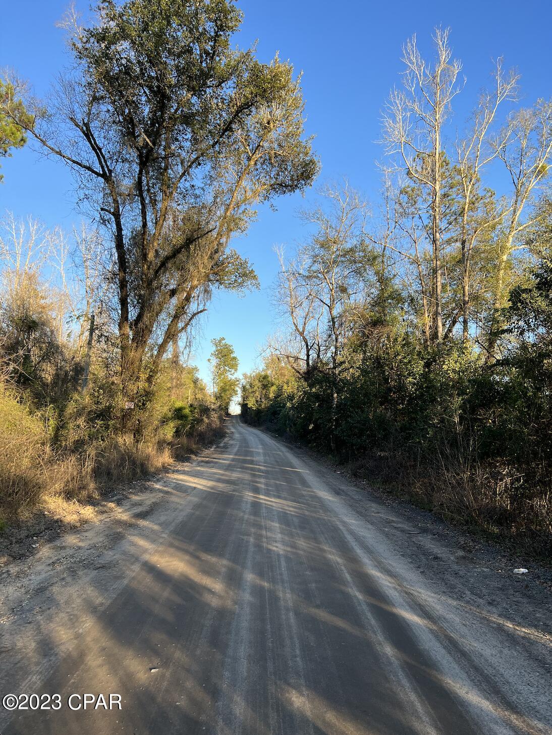 0 London Road Cottondale, FL 32431 - Photo 6 of 7