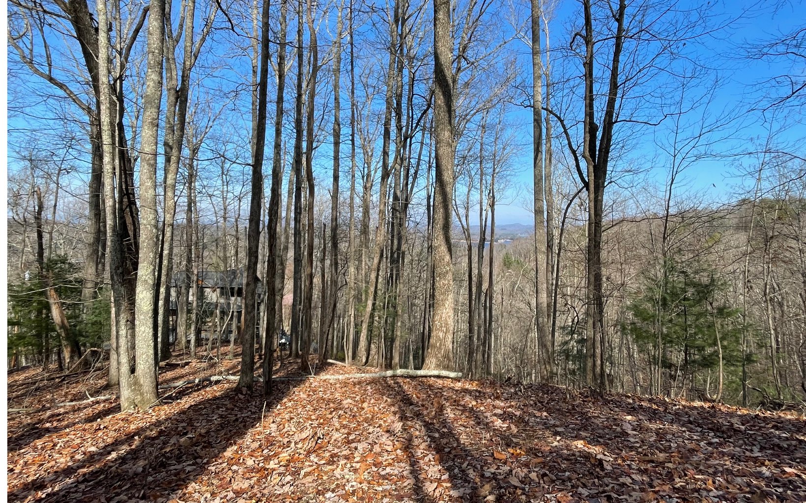 2.4 Green Ridge Road Blue Ridge, GA 30513 - Photo 22 of 28 Additional View