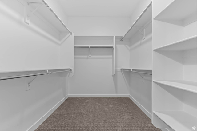 1024 South Tanner Road Santaquin, UT 84655 - Photo 20 of 20 Walk in closet featuring dark colored carpet