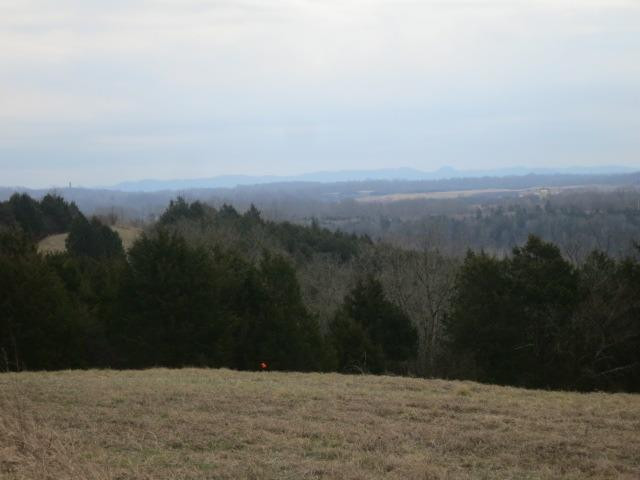 4265 White Conkwright Road Winchester, KY 40391 - Photo 15 of 19 Listing Photo