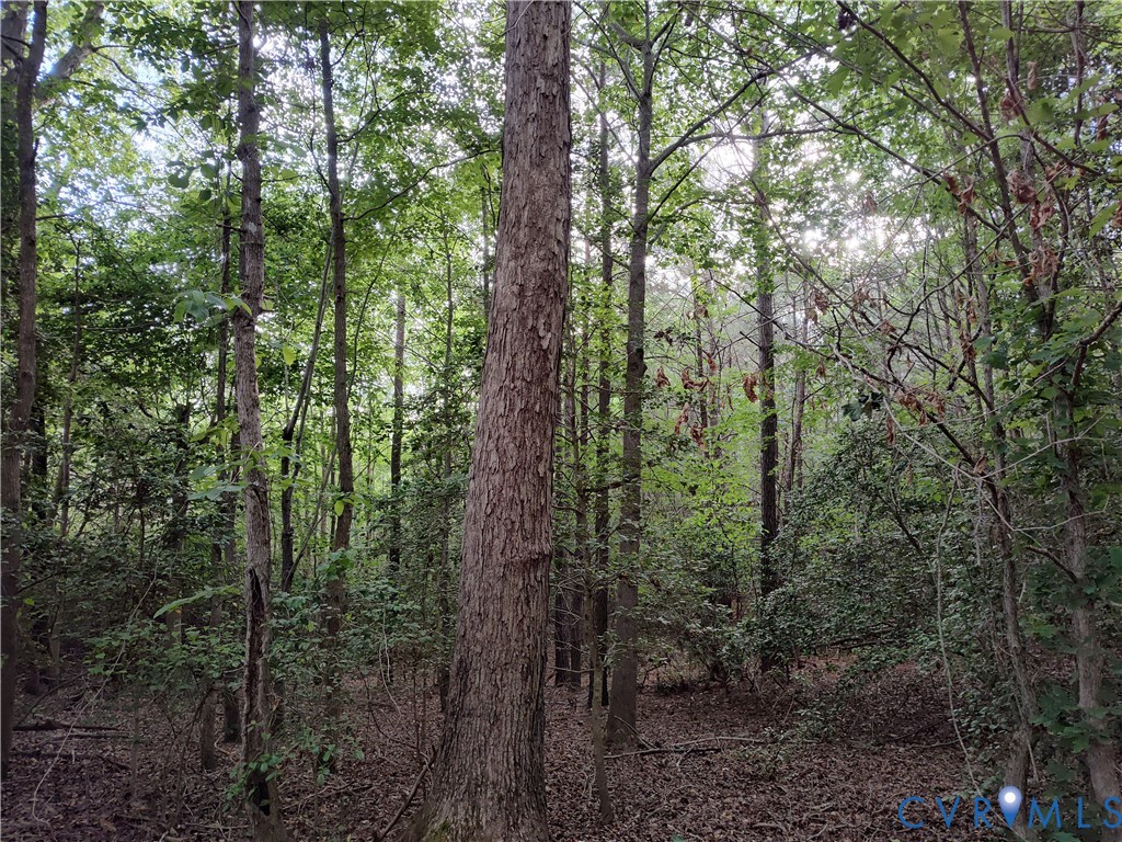 108.5-ac Buzzards Neck Road Lancaster, VA 22503 - Photo 24 of 50