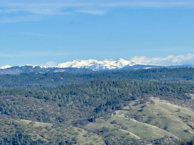 a view of a dry yard with trees