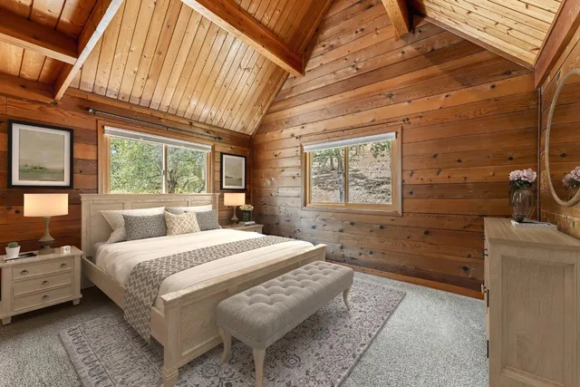 a view of a forest with a tree