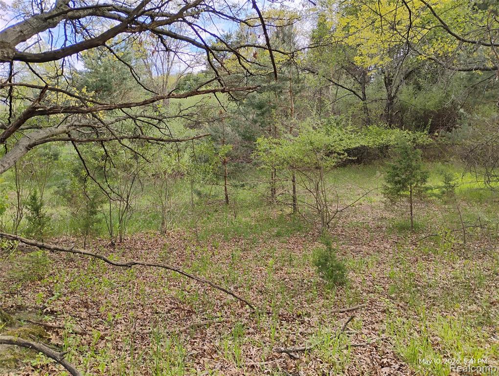 -middle Parc Middle Parc Middle Road Highland, MI 48357 - Photo 3 of 9