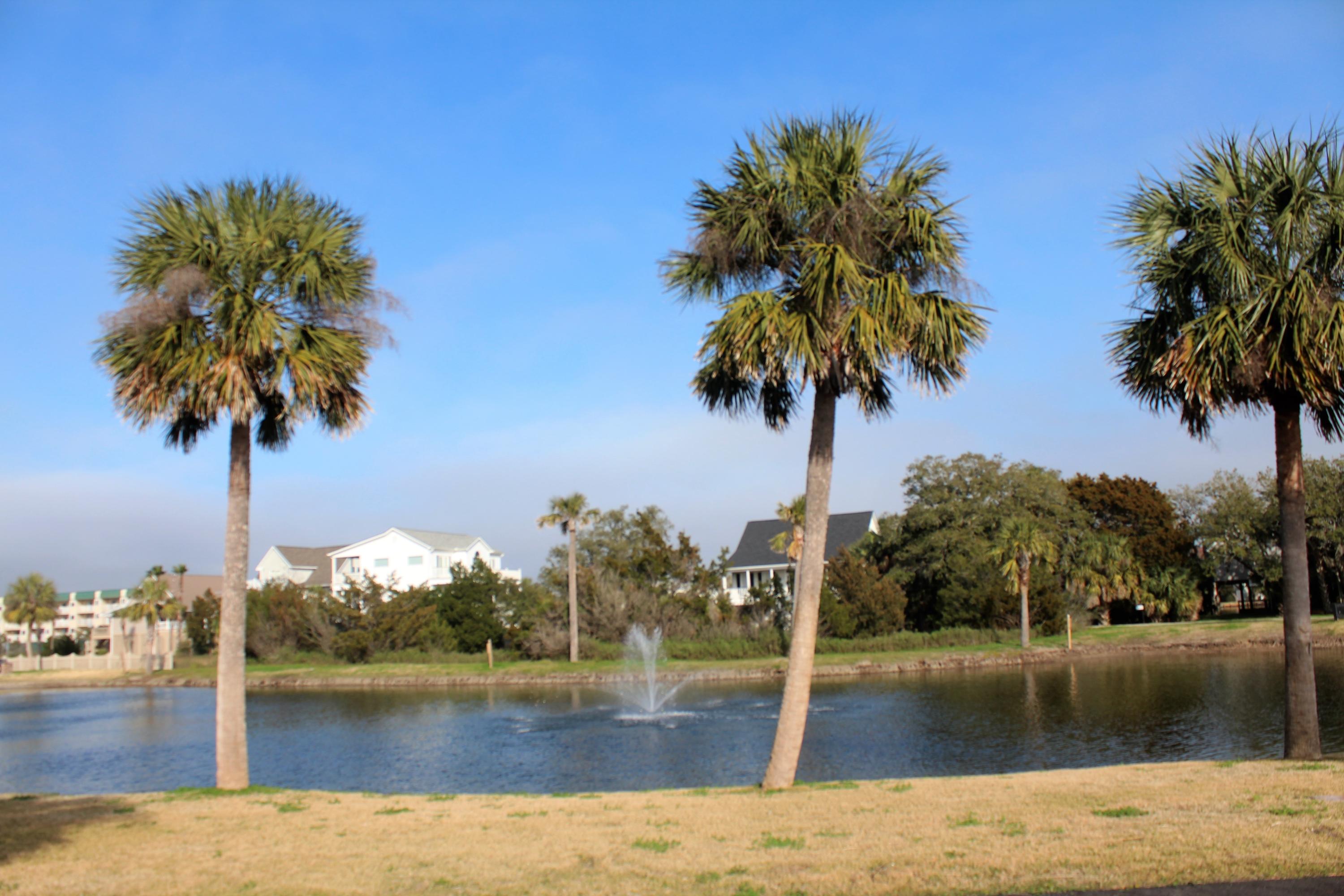 860 Club Cottage Road Edisto Beach, SC 29438 - Photo 33 of 65 View at one of the 3 pools