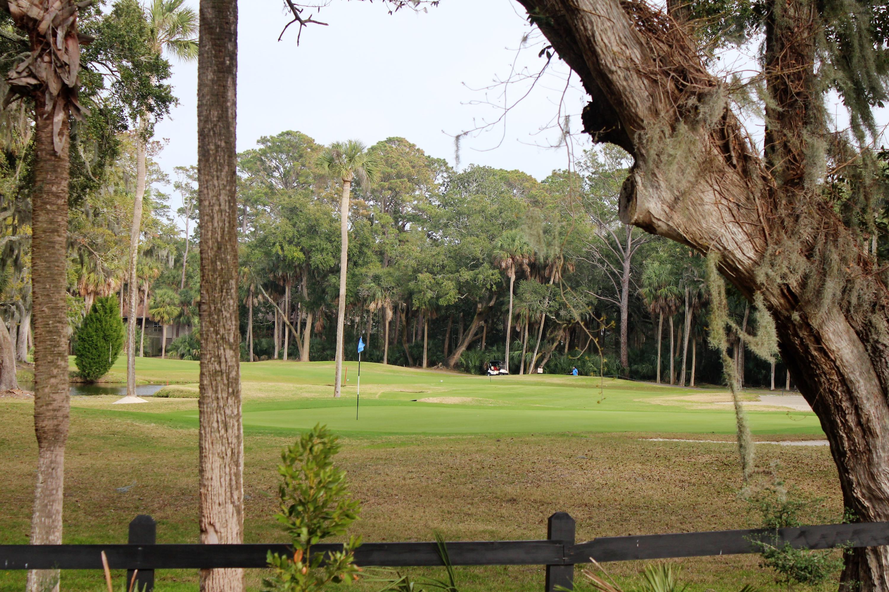 860 Club Cottage Road Edisto Beach, SC 29438 - Photo 37 of 65 Golf course