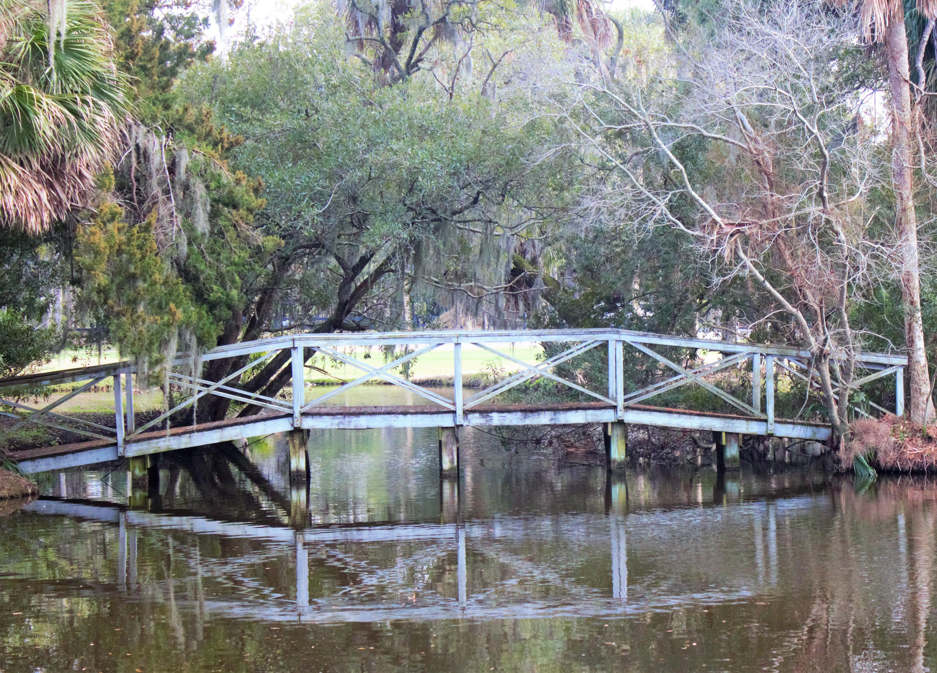 860 Club Cottage Road Edisto Beach, SC 29438 - Photo 38 of 65 Great place for a walk