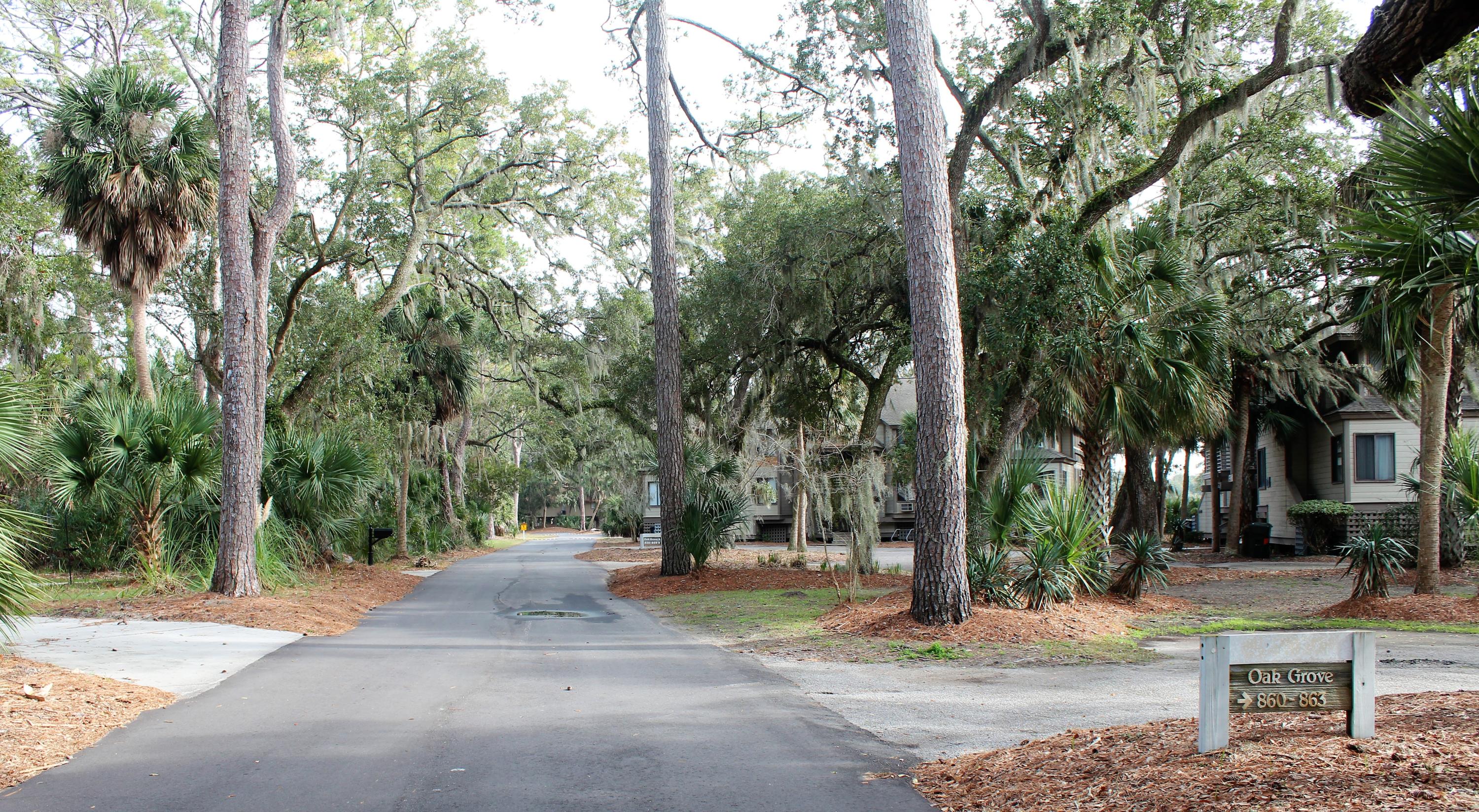 860 Club Cottage Road Edisto Beach, SC 29438 - Photo 41 of 65 Road in front of units