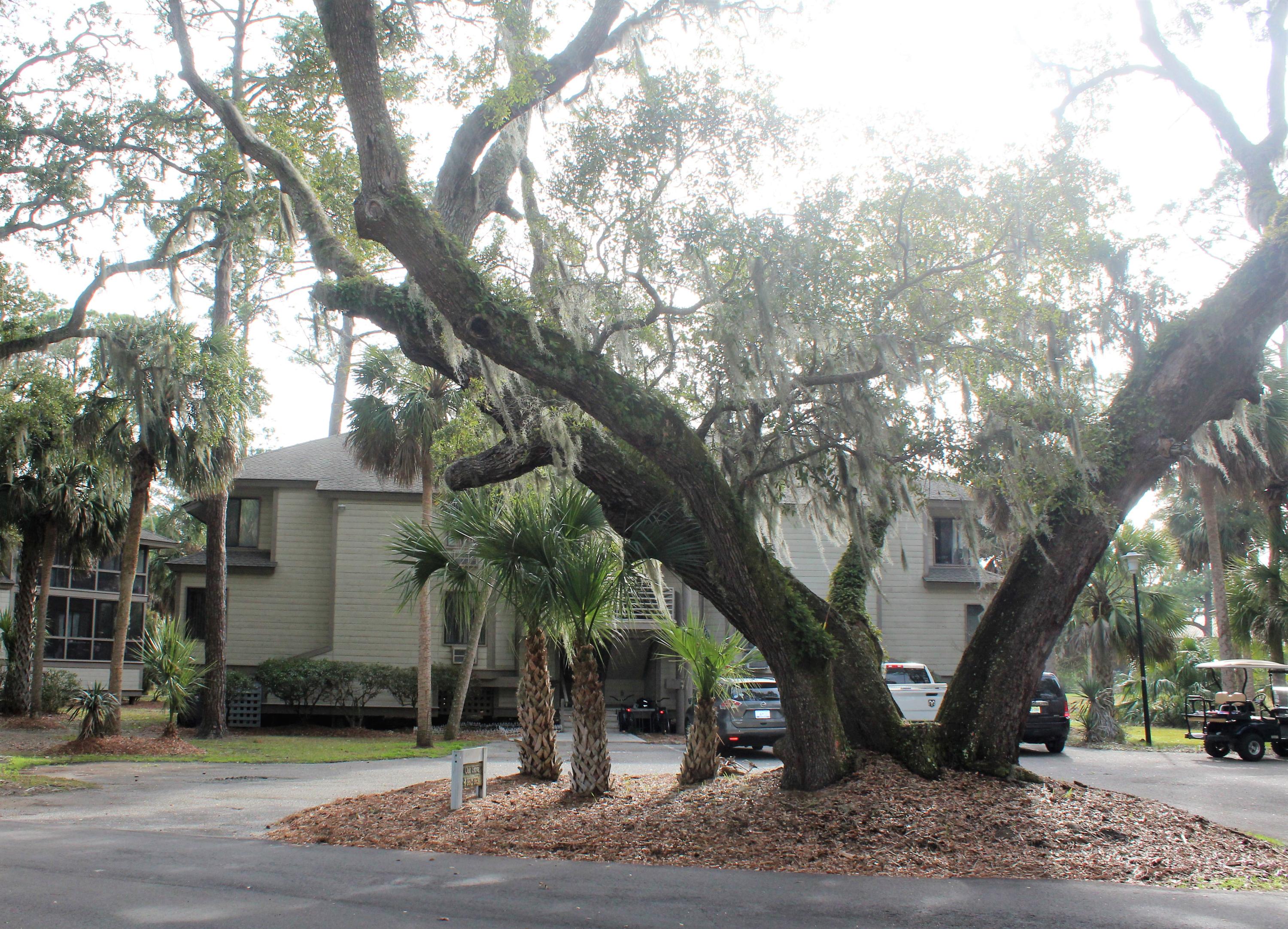 860 Club Cottage Road Edisto Beach, SC 29438 - Photo 43 of 65 Beautiful Oaks in front