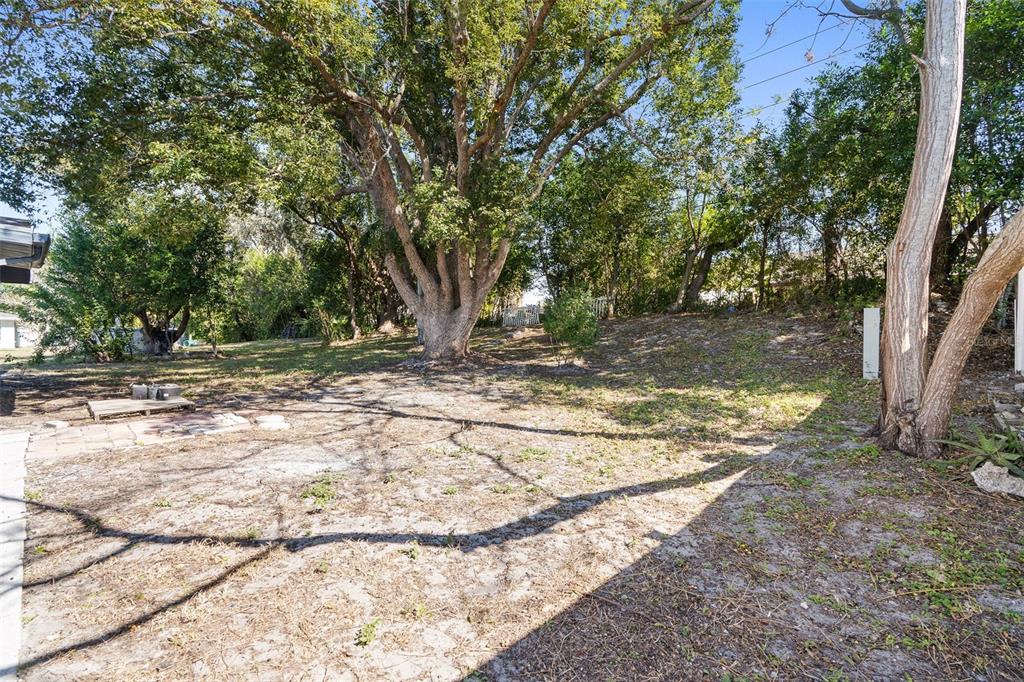 10536 Laburnum Drive Port Richey, FL 34668 - Photo 25 of 33 a view of a yard with trees