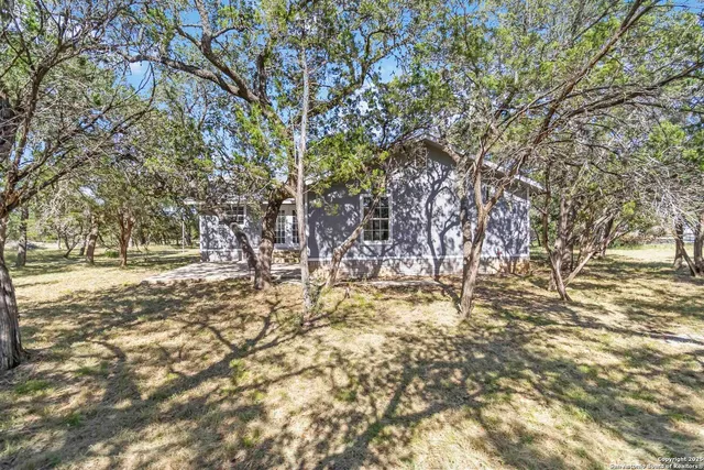a view of a yard with large tree