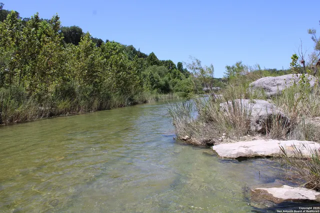 a view of a yard with an empty space and trees
