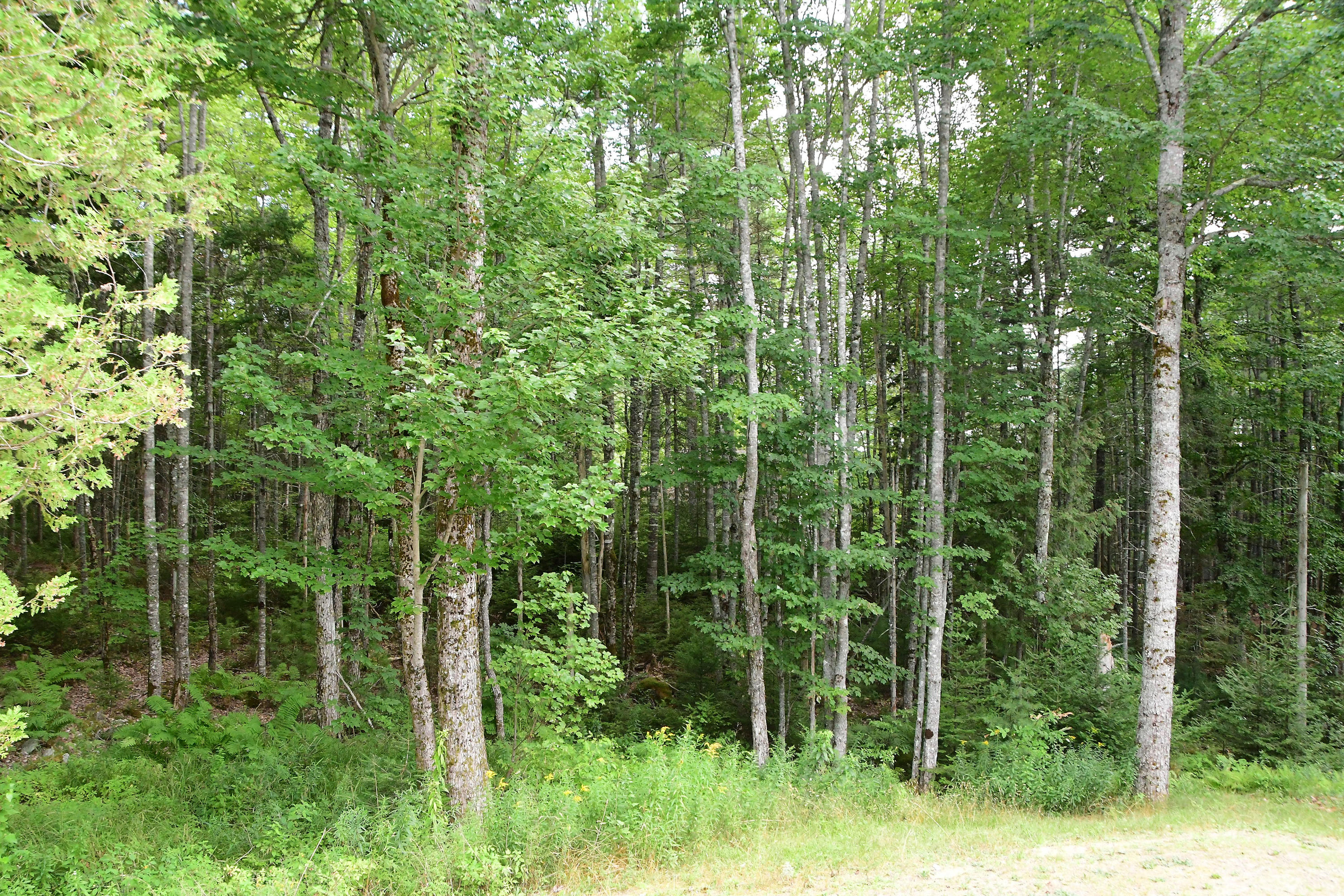 39 Grandview Road Ellsworth, ME 04605 - Photo 41 of 44 39 GrandView_011
